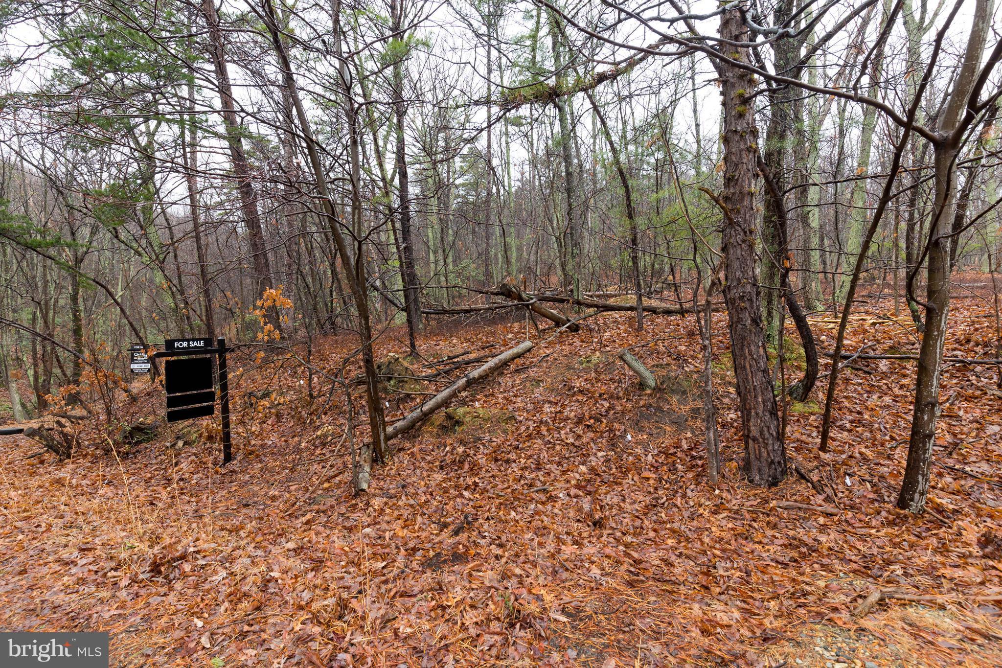 BULL RUN MOUNTAIN ESTATE - Land