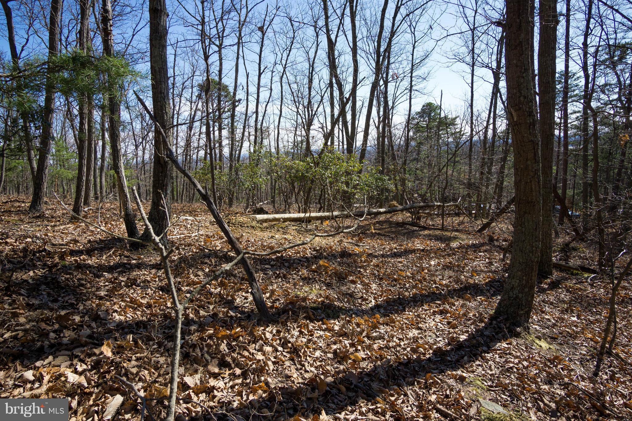 BULL RUN MOUNTAIN ESTATE - Land