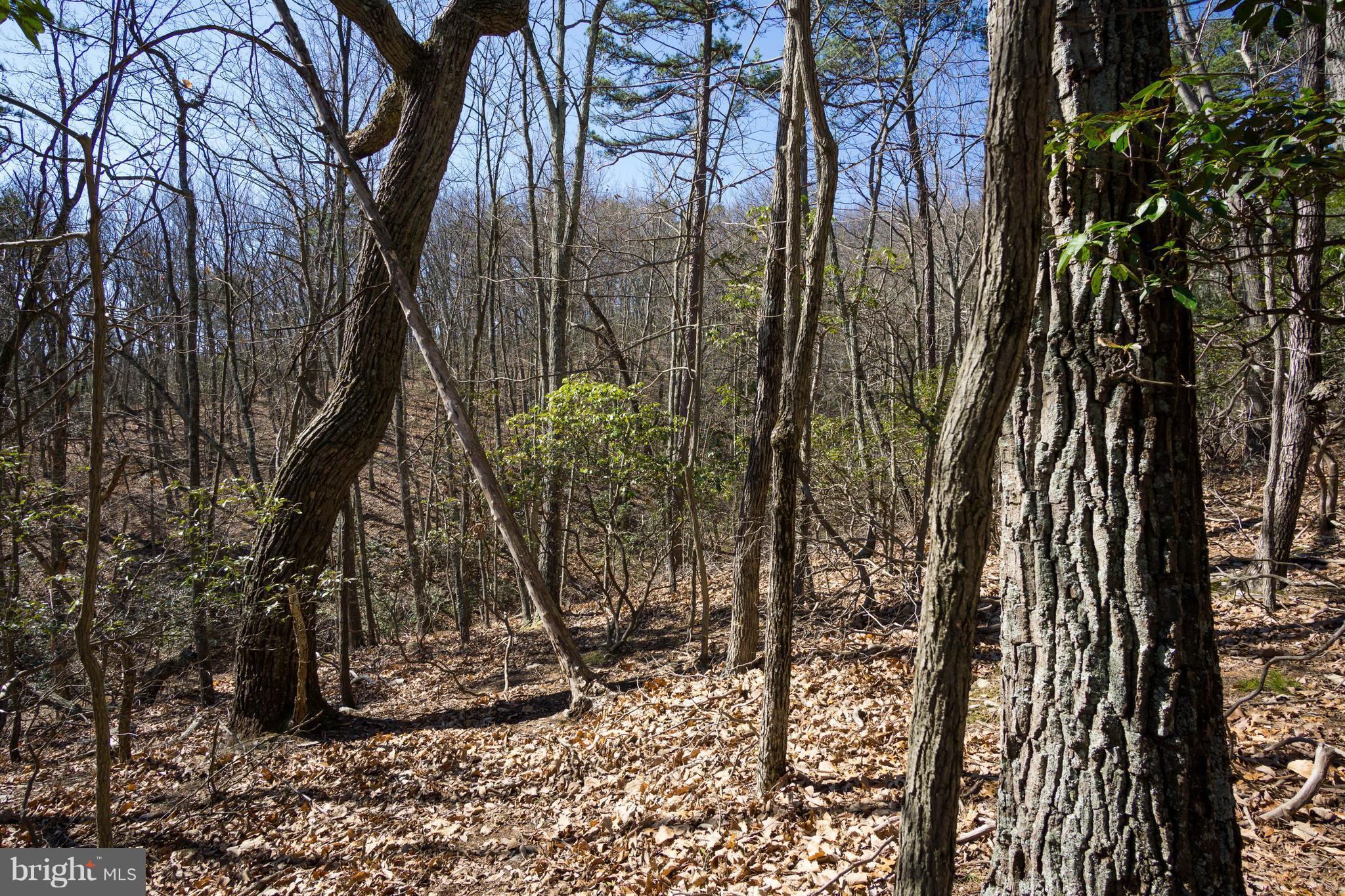 BULL RUN MOUNTAIN ESTATE - Land