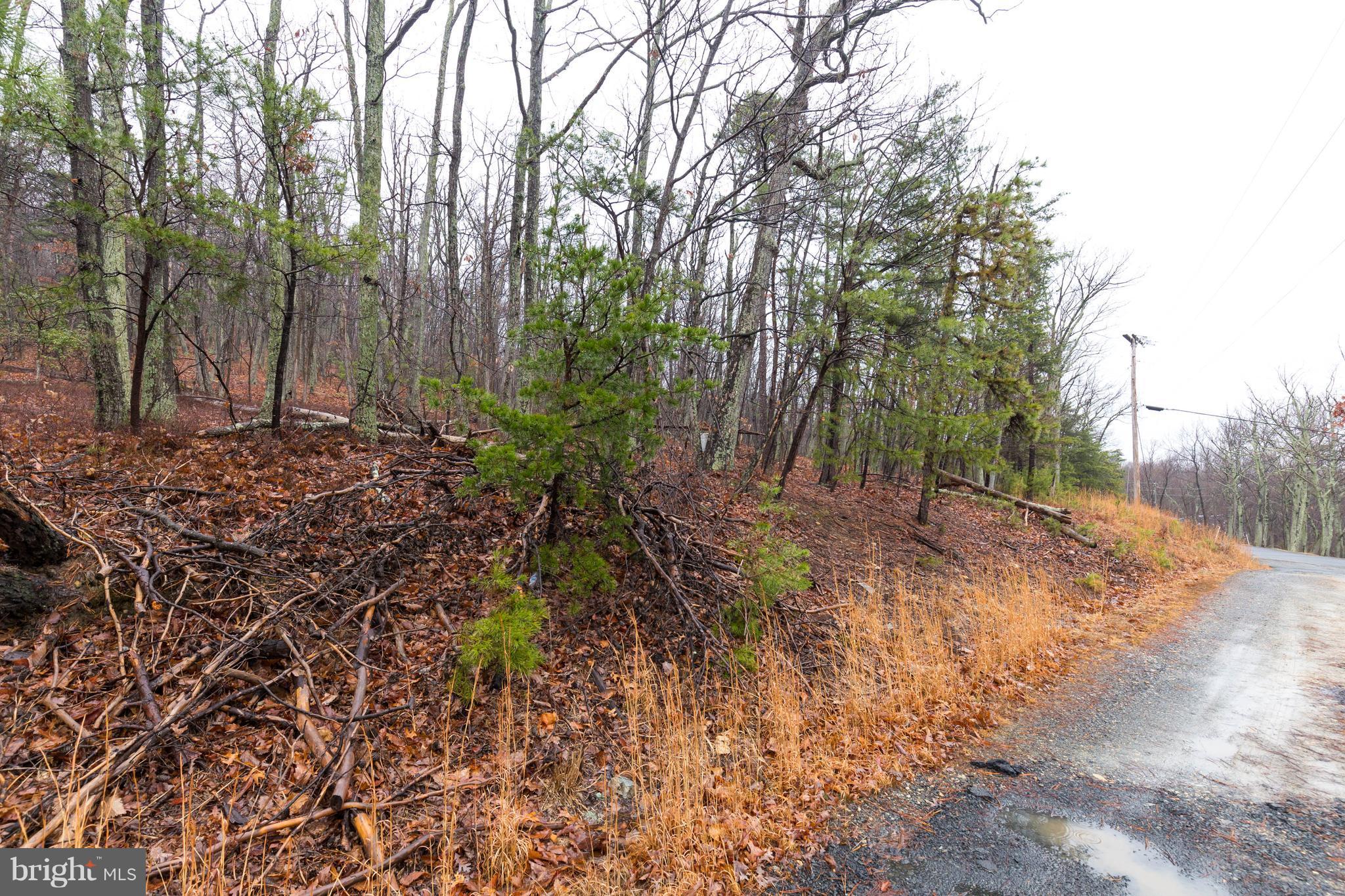 BULL RUN MOUNTAIN ESTATE - Land