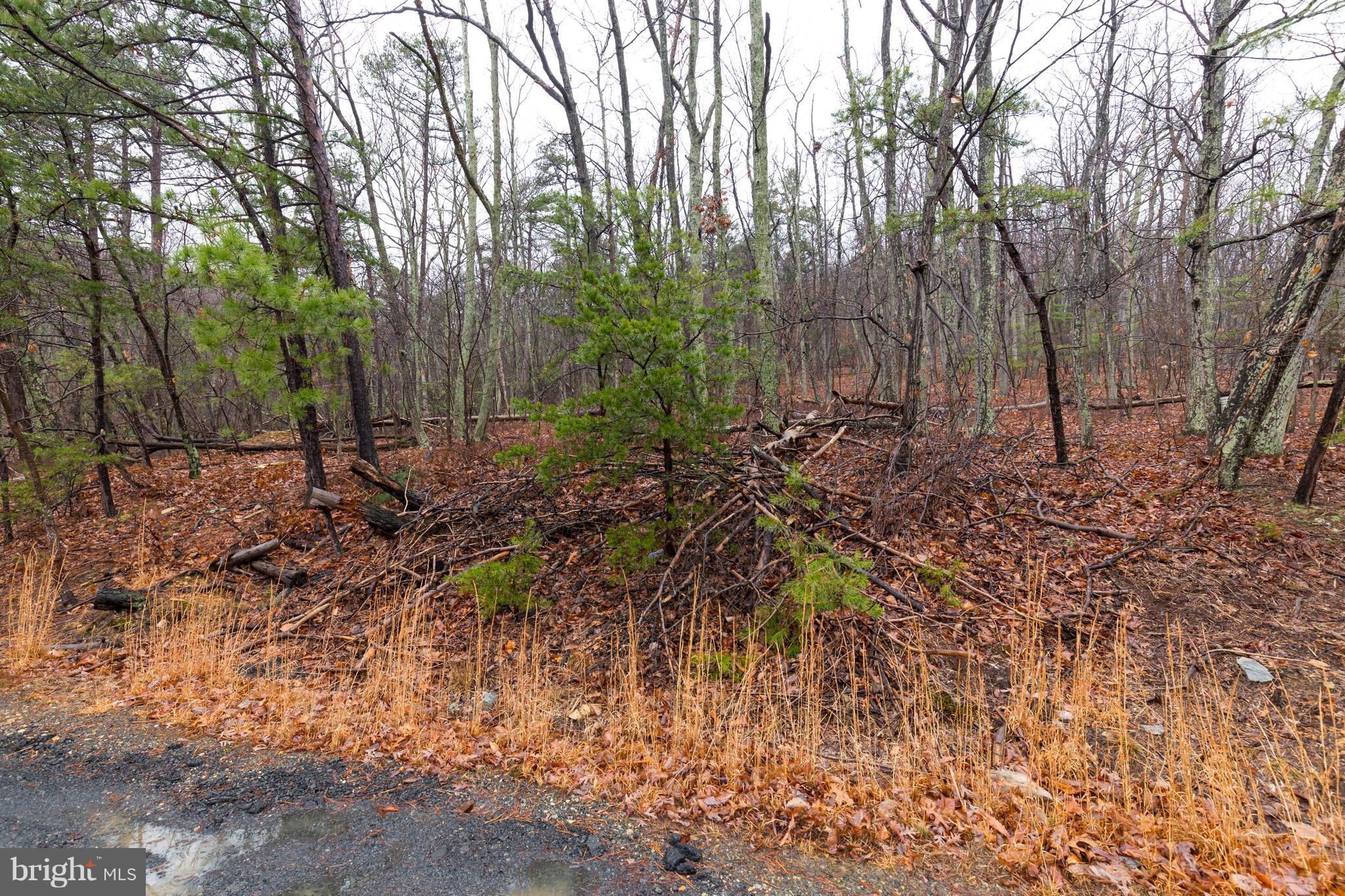 BULL RUN MOUNTAIN ESTATE - Land