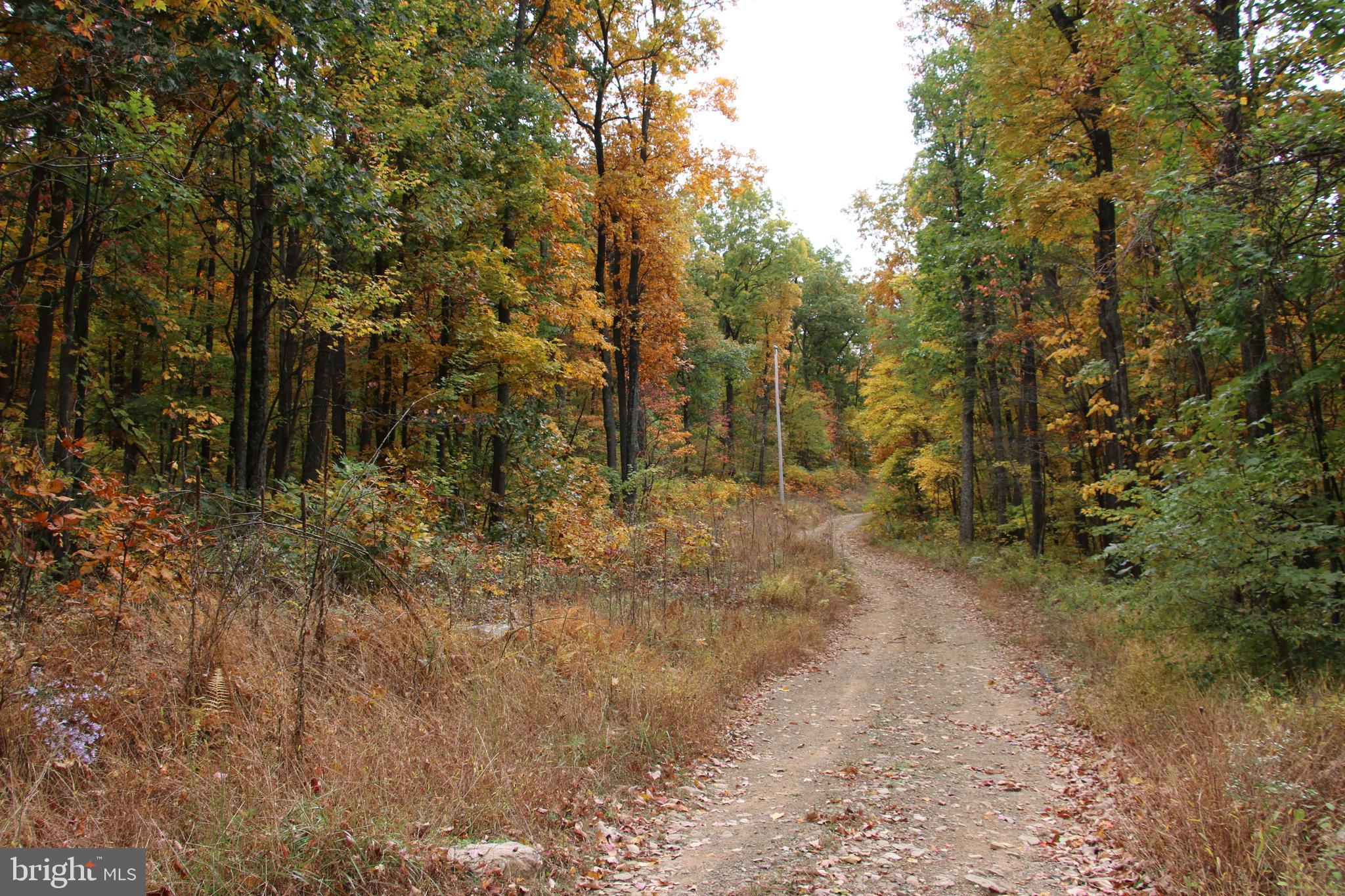 MOOREHEAD ROAD