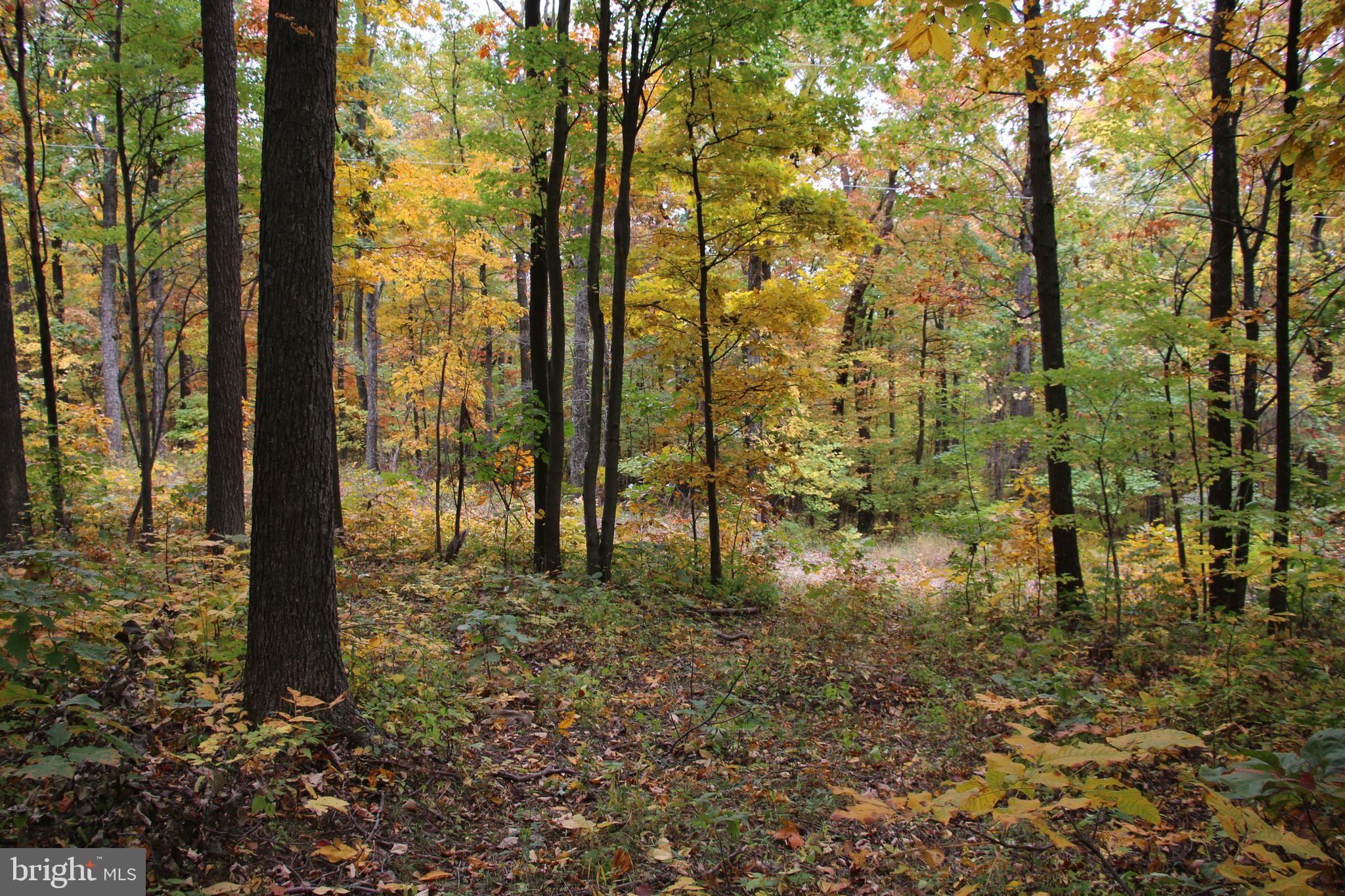 MOOREHEAD ROAD