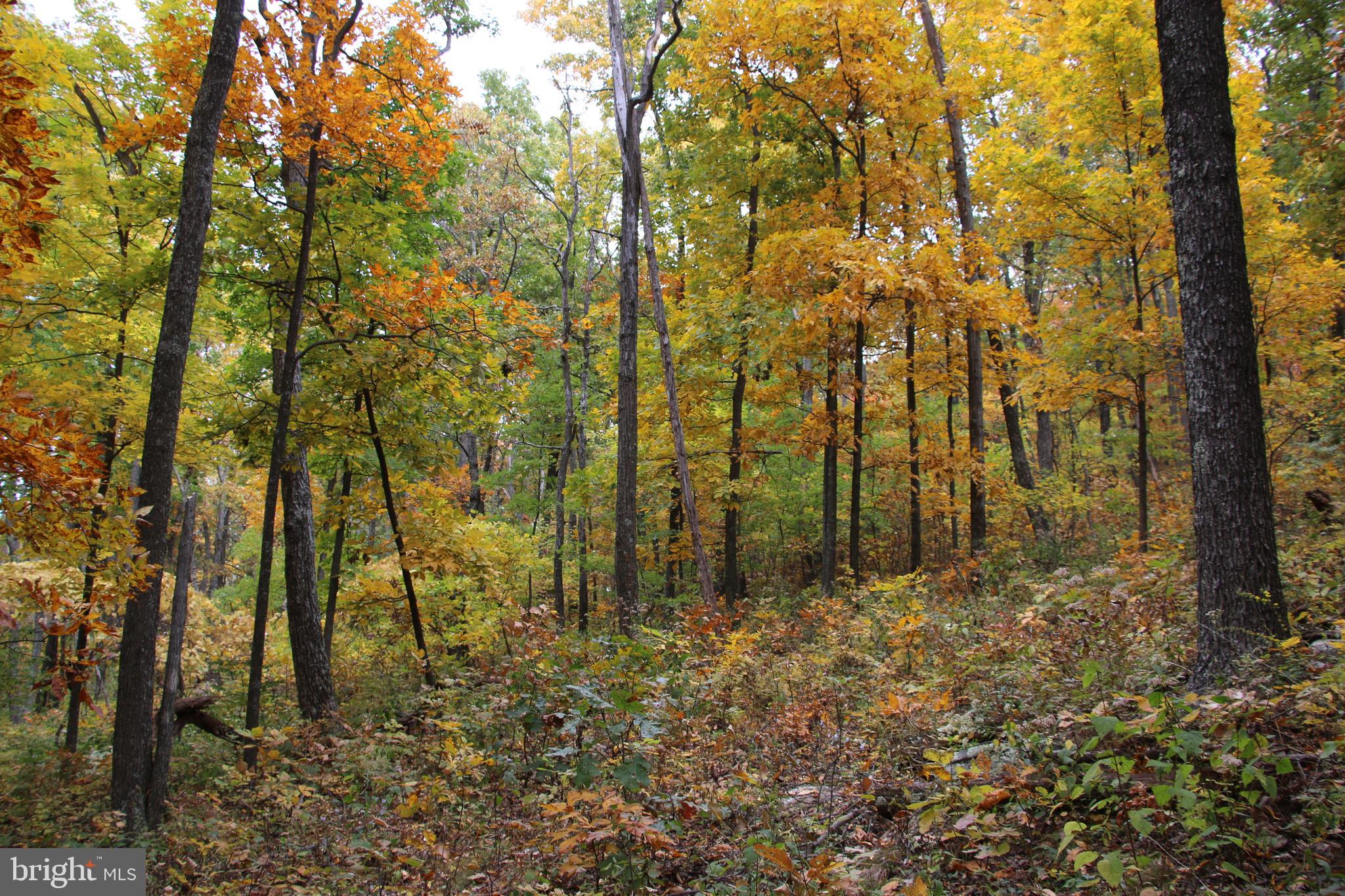 MOOREHEAD ROAD