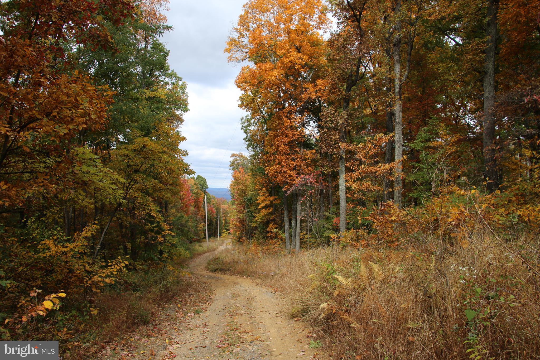 MOOREHEAD ROAD