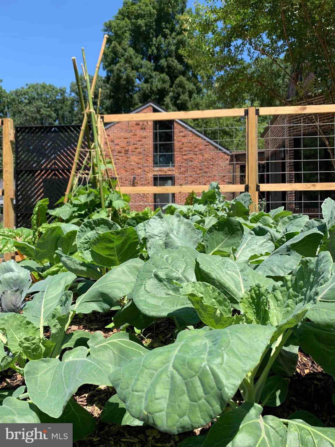 CAVES VALLEY - Residential Lease