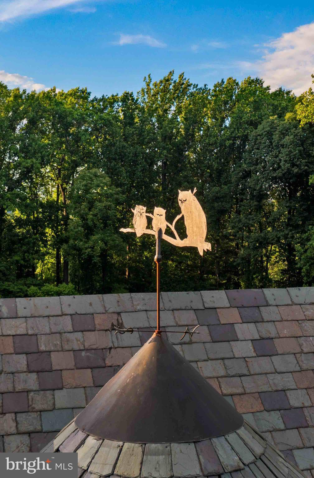 CAVES VALLEY - Residential Lease