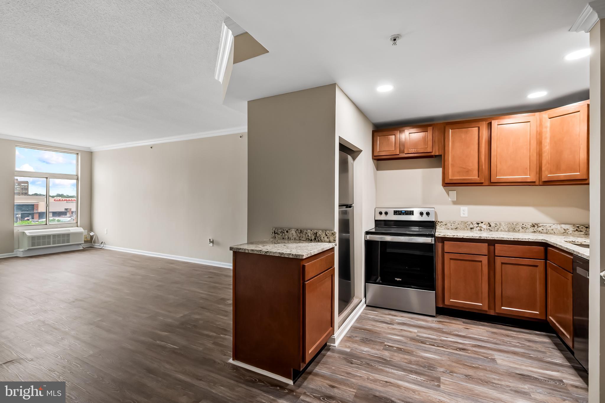 PENTHOUSE CONDOMINIUMS - Residential