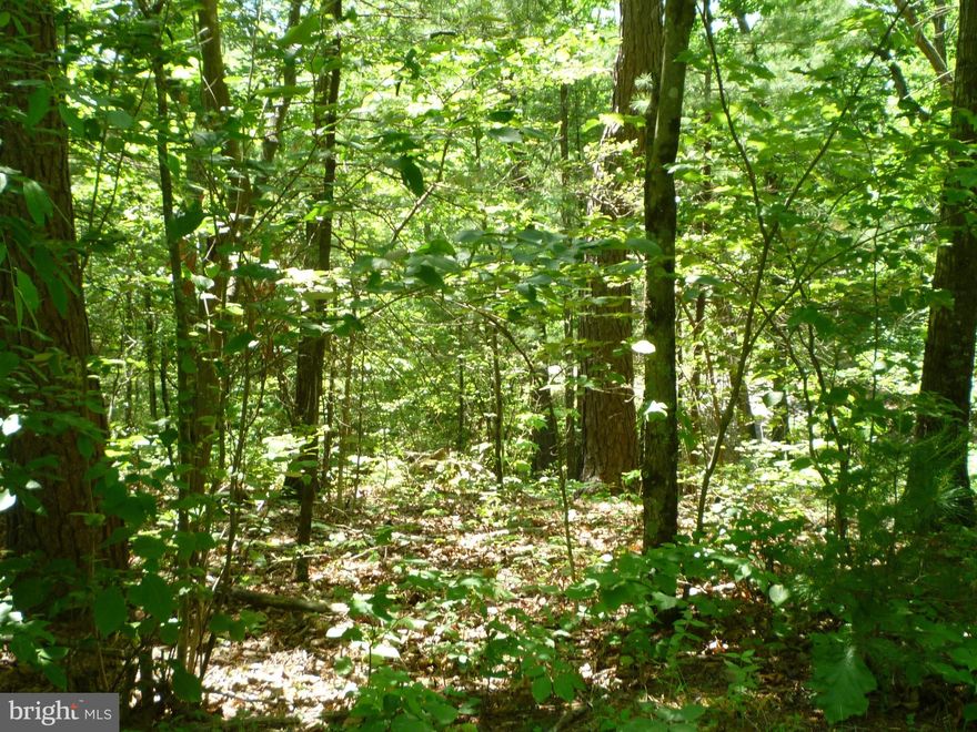 Wooded Lot on paved roads within walking distance of  the activity center at Bryce Resort...PRICED $5,000 below tax assessed value. Bryce Resort offers numerous activities including an 18 hole golf course, driving range, 46+ acre lake, outdoor as well as indoor pool (membership required), pickle ball, tennis, mountain biking. Winter activities include snow skiing, snow boarding, ice skating, tubing. Great restaurant/lounge. The Shenandoah Room large enough for weddings, private functions and parties.. Fishing in Lake Laura and Stoney Creek. Hunting & hiking in nearby GW National Forest. Airport for small aircraft