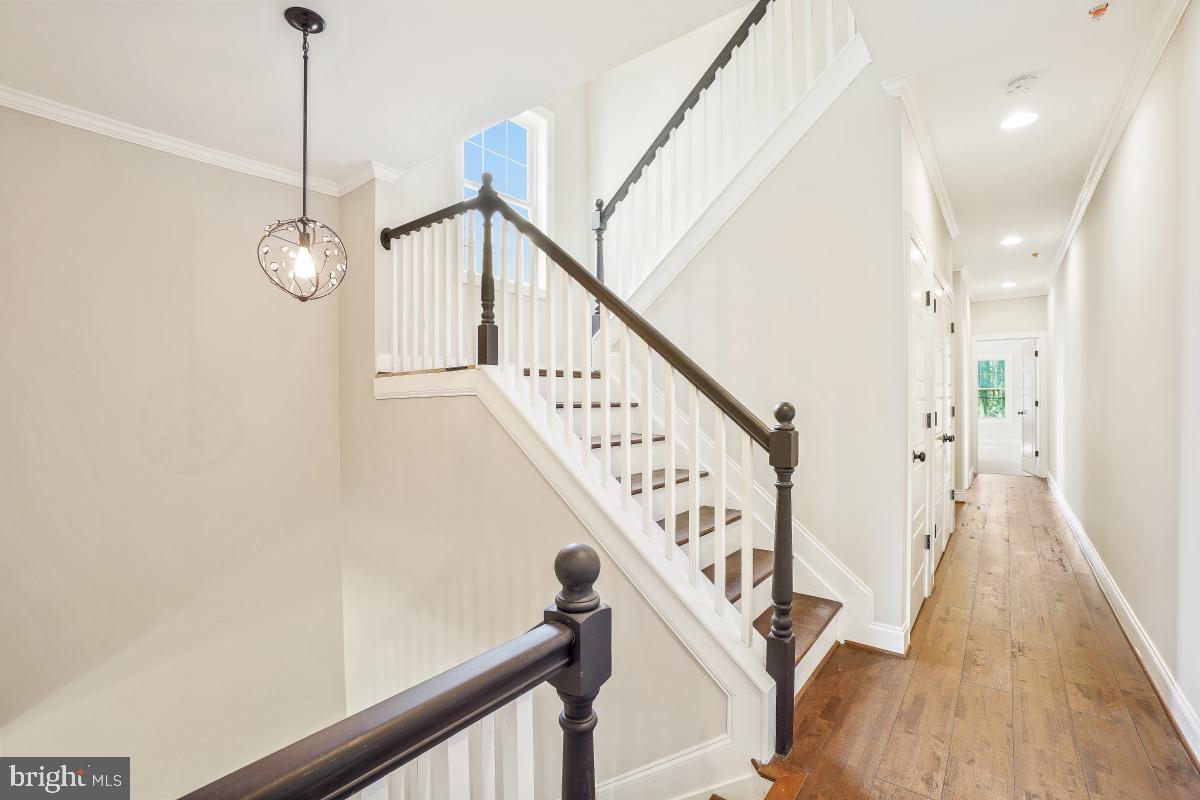PATTERSON PARK - Residential