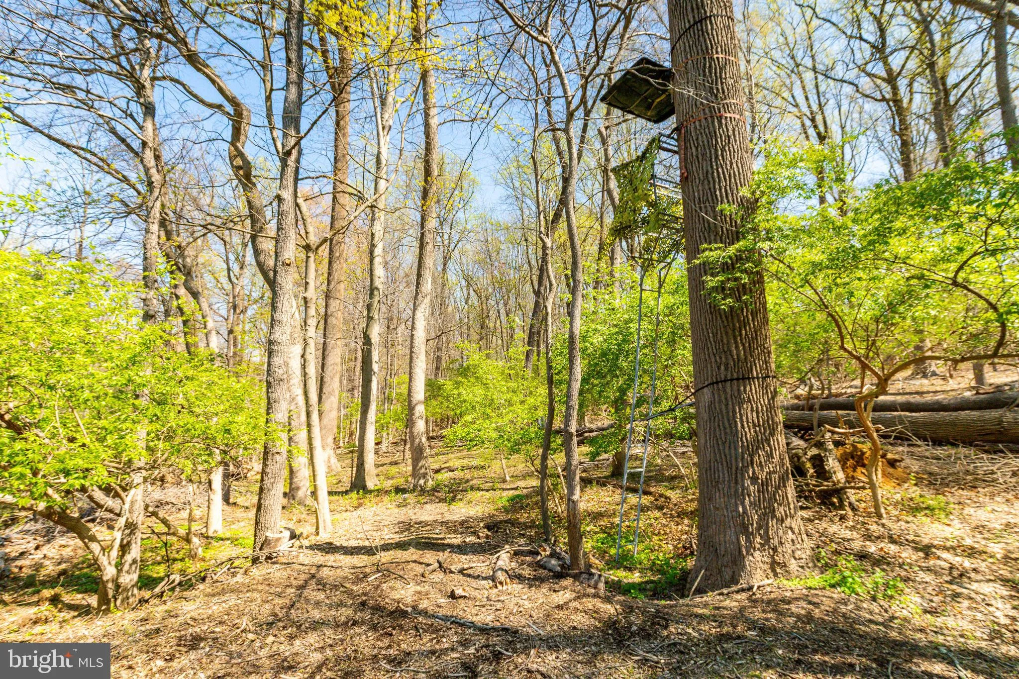West Chester, Pennsylvania 19380, United States, 3 Bedrooms Bedrooms, ,3 BathroomsBathrooms,Residential,Contingent,111972