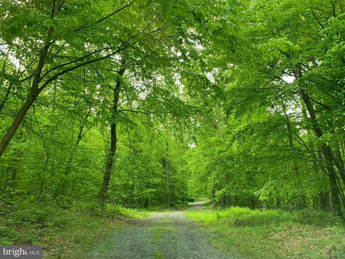 825 MINE ROAD