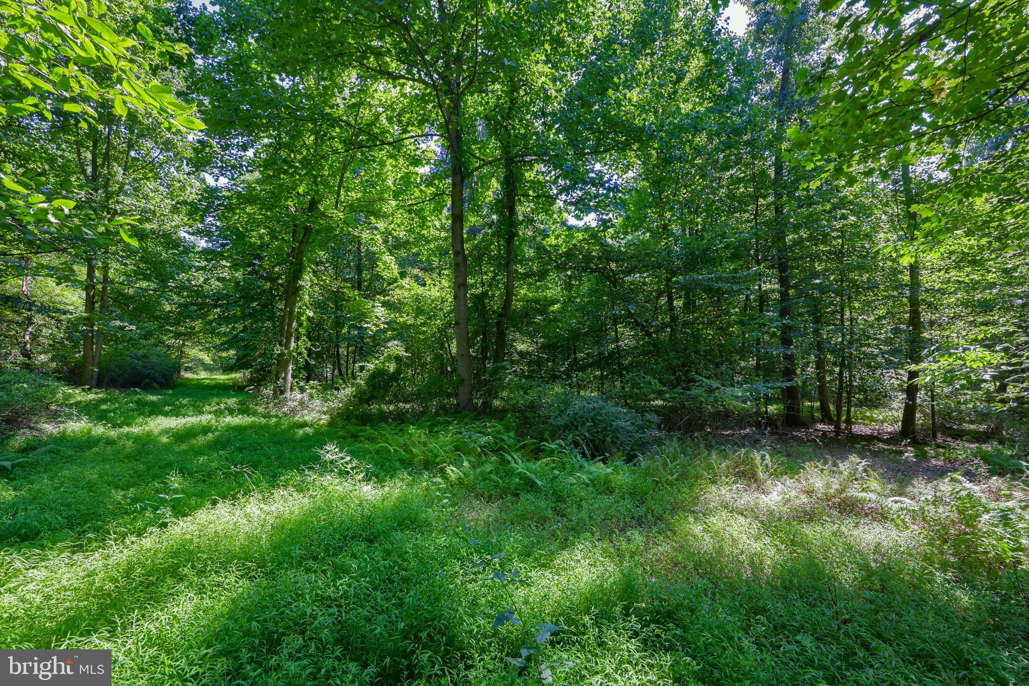 825 MINE ROAD
