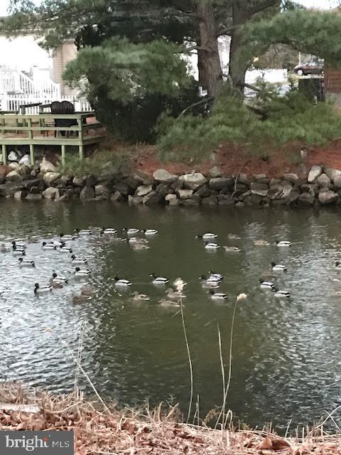 MYSTIC HARBOUR - Residential