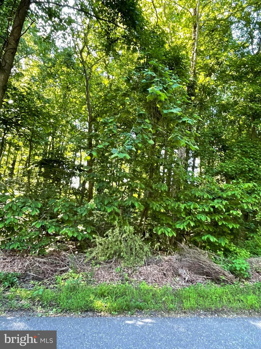 Raw land available in Chesapeake Heights in Prince Frederick, Maryland.