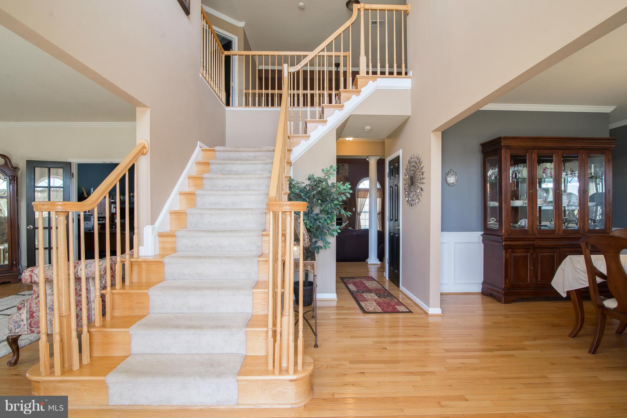 SPRUCE HILL ESTATES - Residential