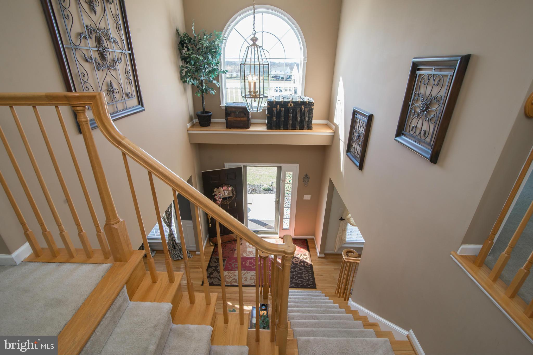 SPRUCE HILL ESTATES - Residential