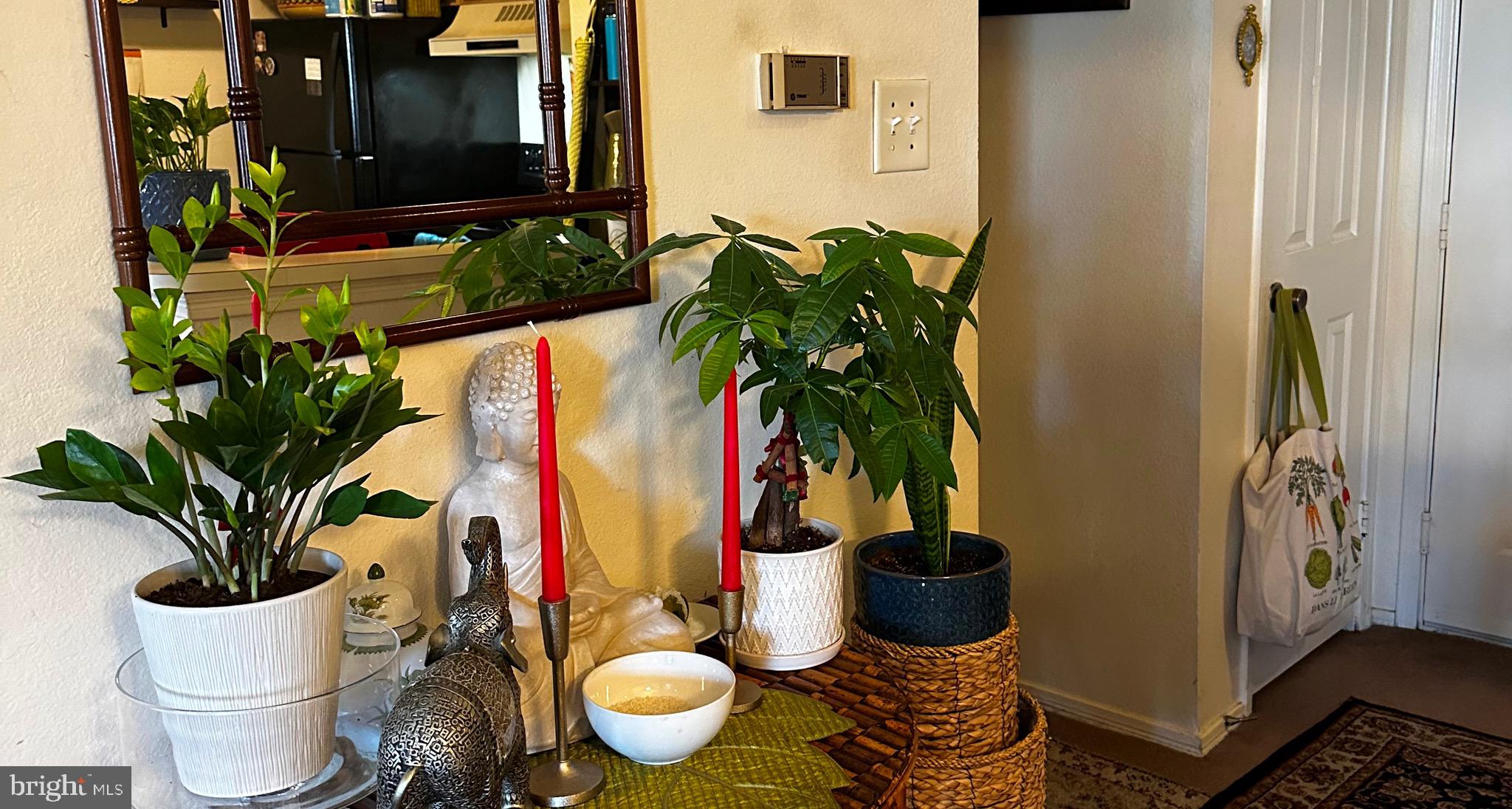 POINTE AT PARK CENTER - Residential