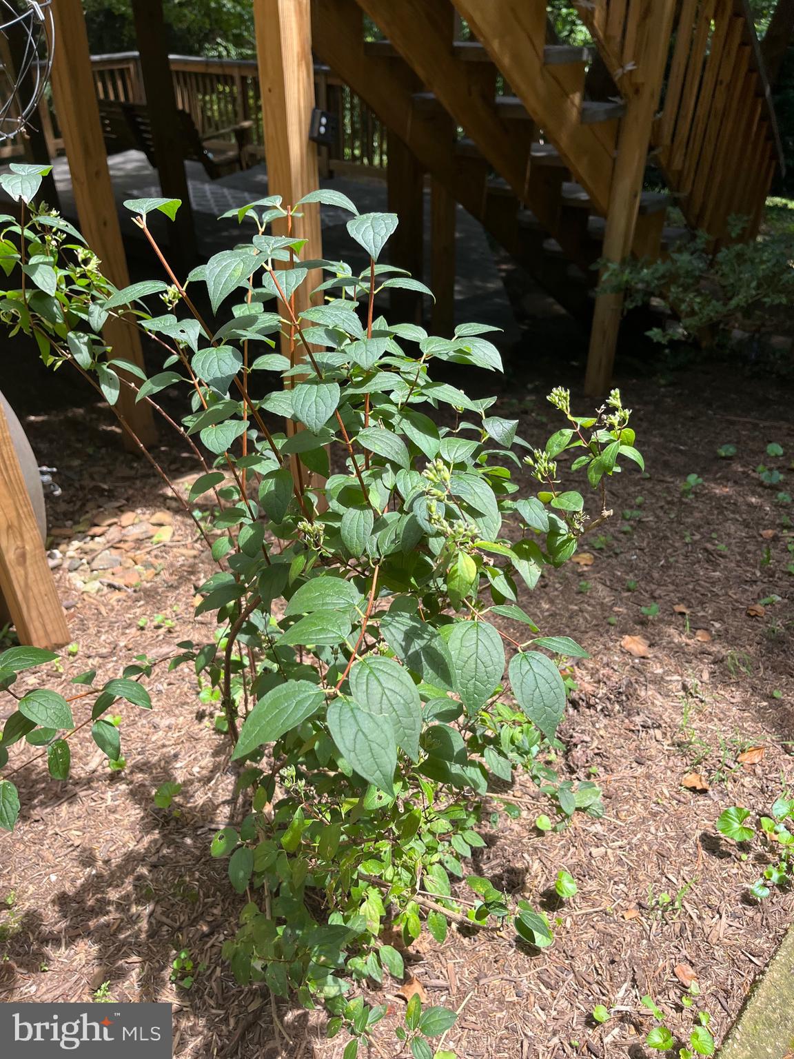 OVERLEA - Residential