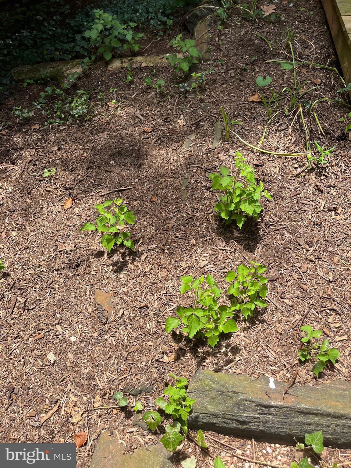 OVERLEA - Residential