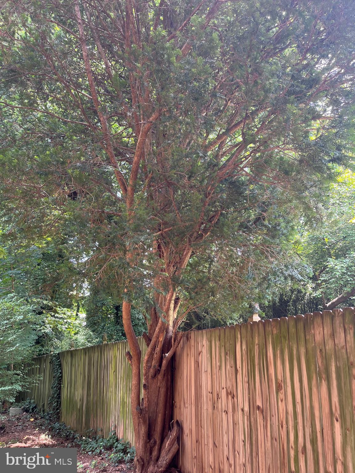 OVERLEA - Residential