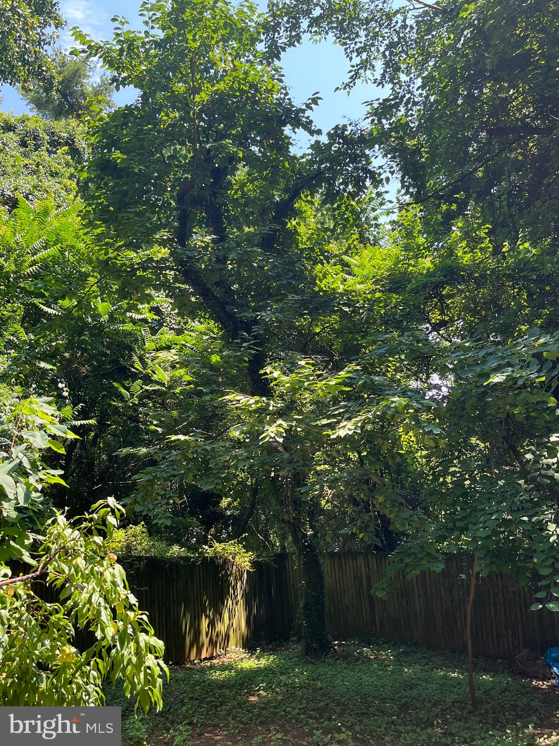 OVERLEA - Residential