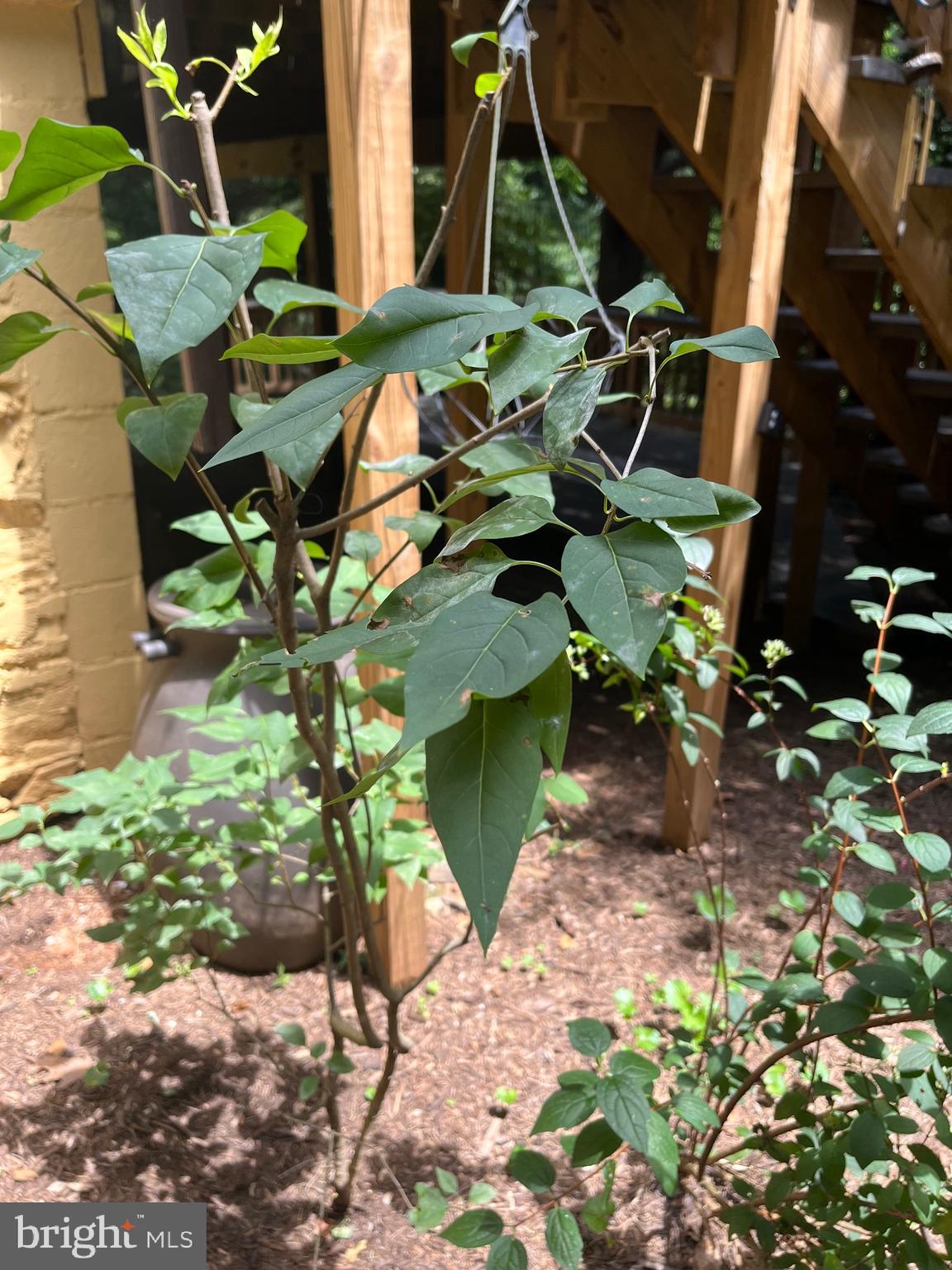 OVERLEA - Residential