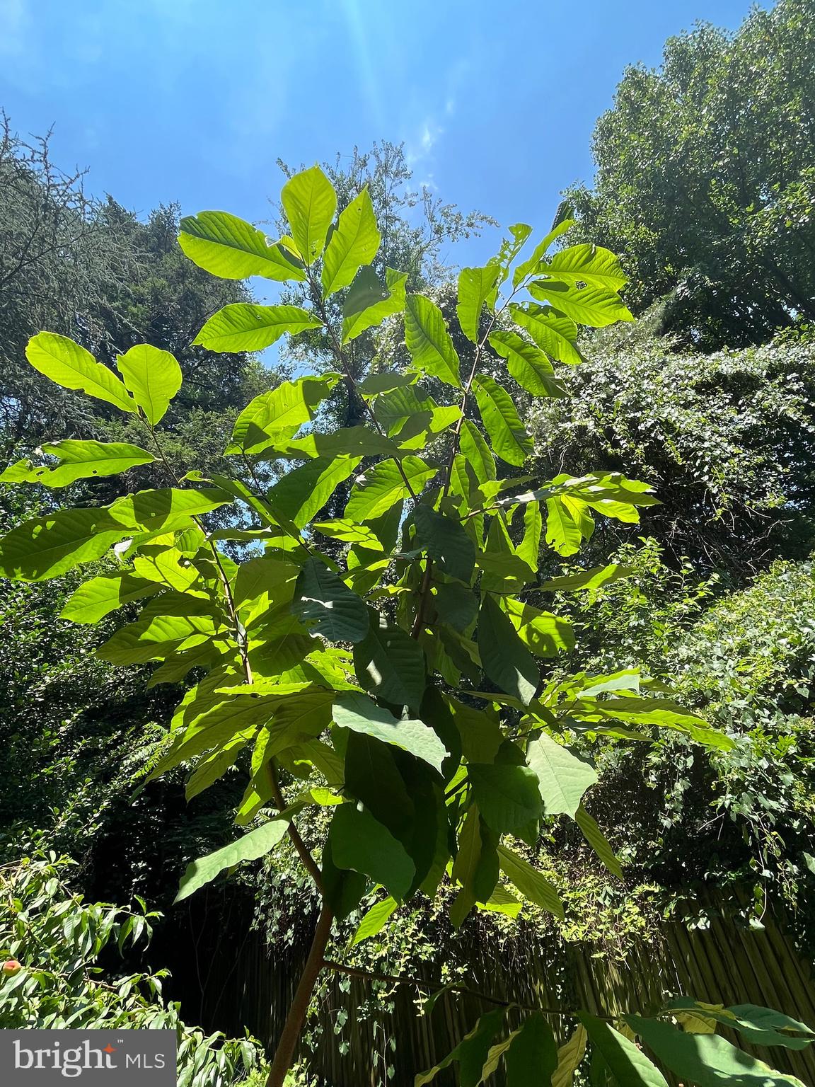 OVERLEA - Residential