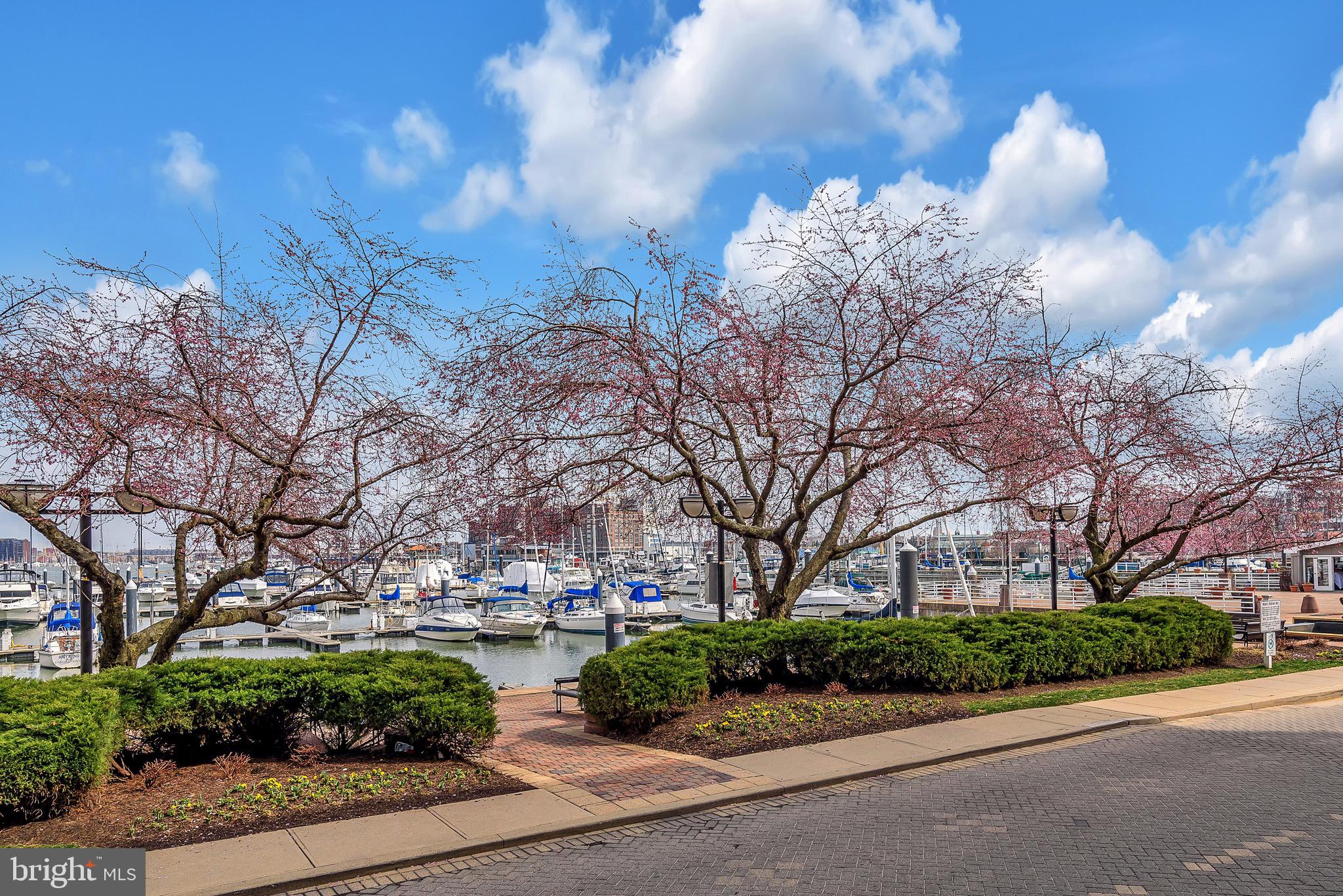 HARBORVIEW - Residential