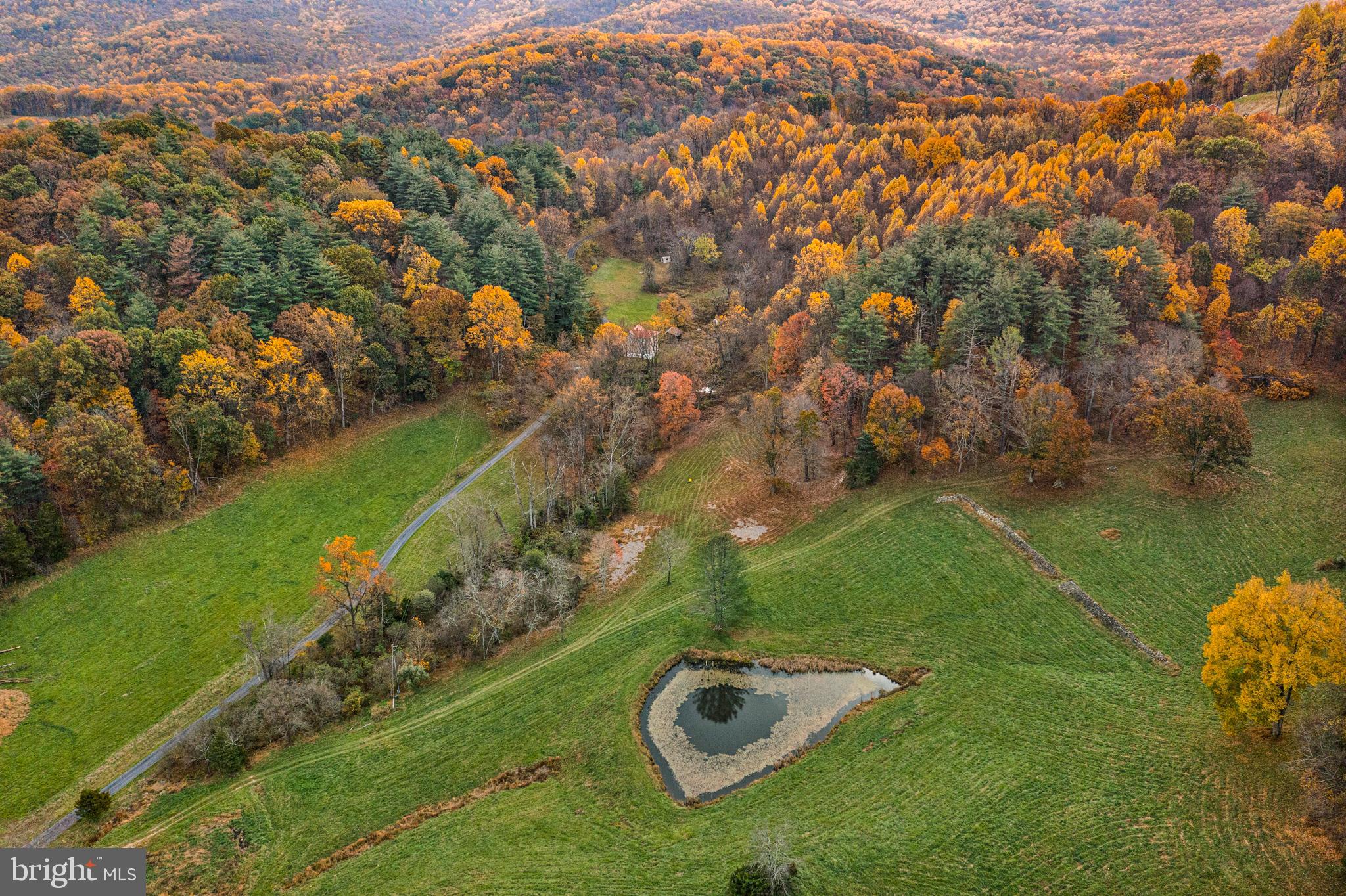 SHENANDOAH WOODLANDS - Land