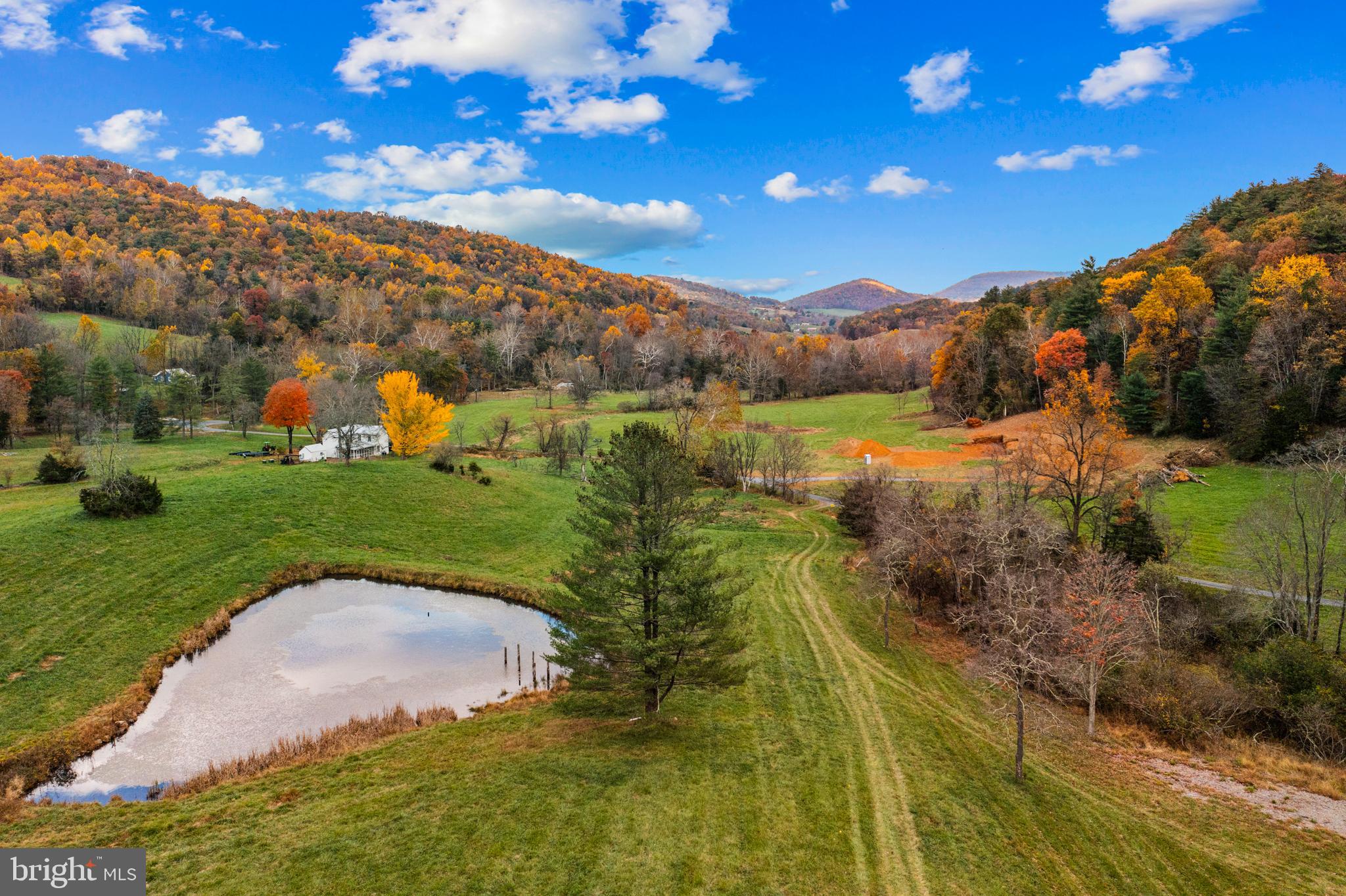 SHENANDOAH WOODLANDS - Land