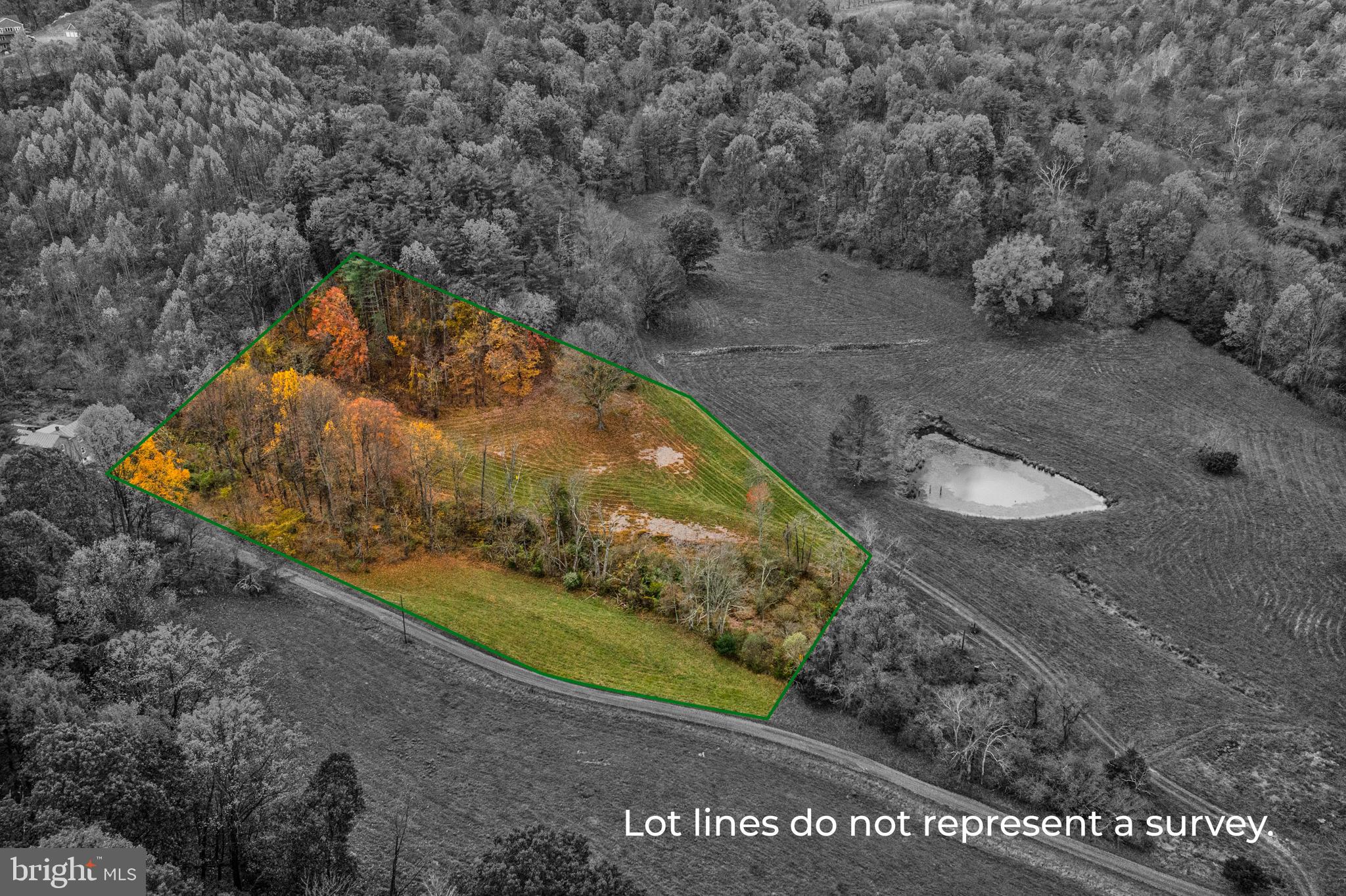 SHENANDOAH WOODLANDS - Land