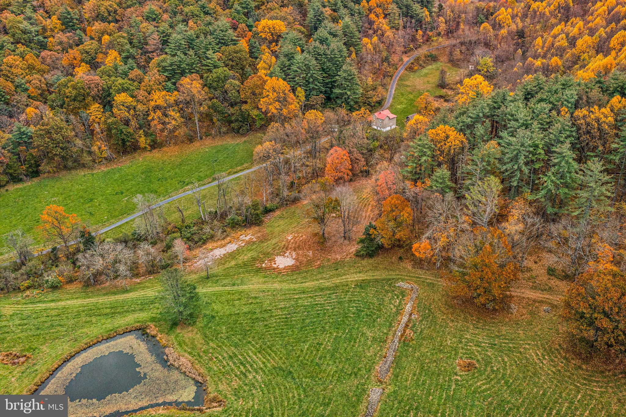 SHENANDOAH WOODLANDS - Land
