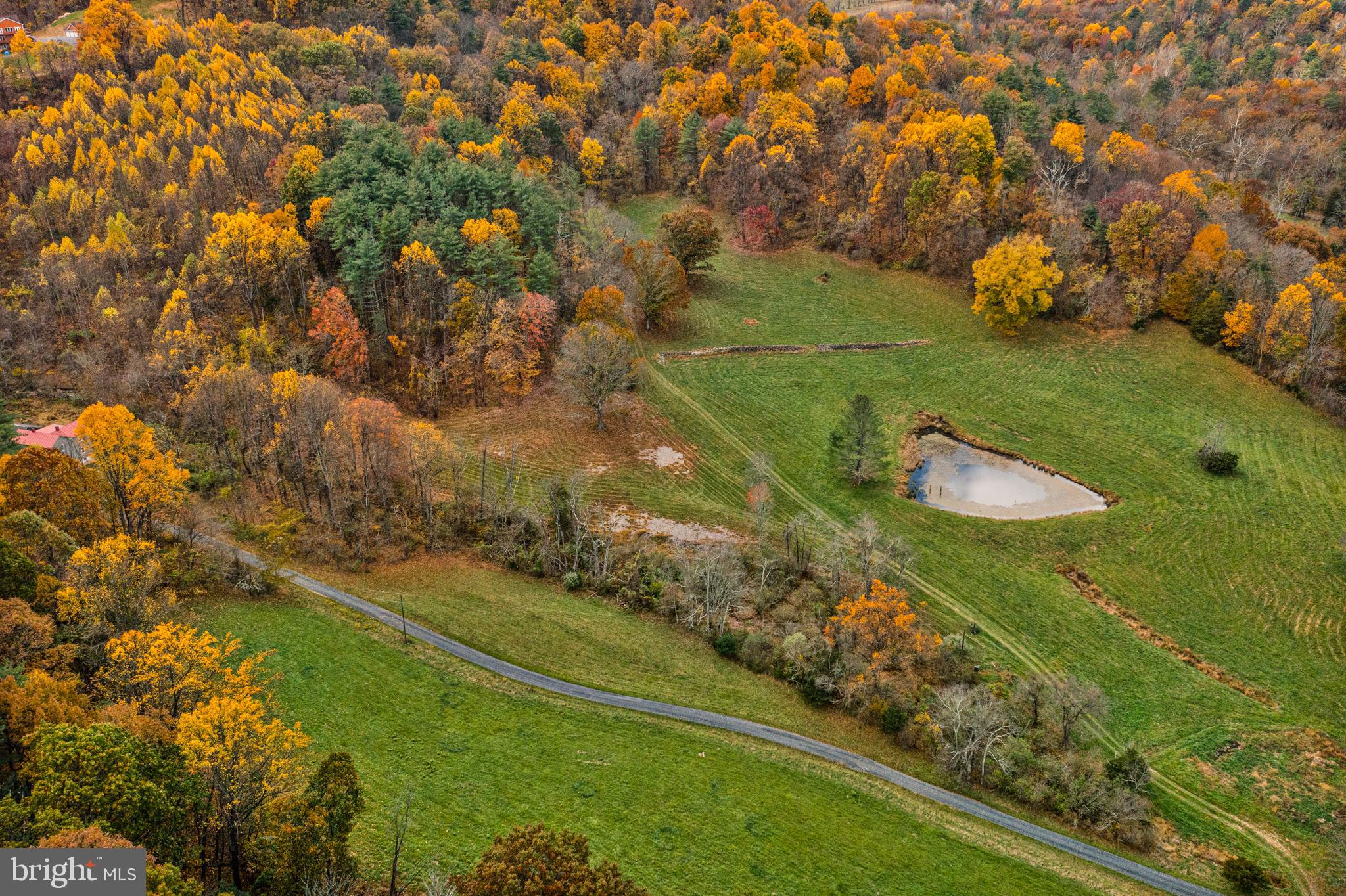 SHENANDOAH WOODLANDS - Land