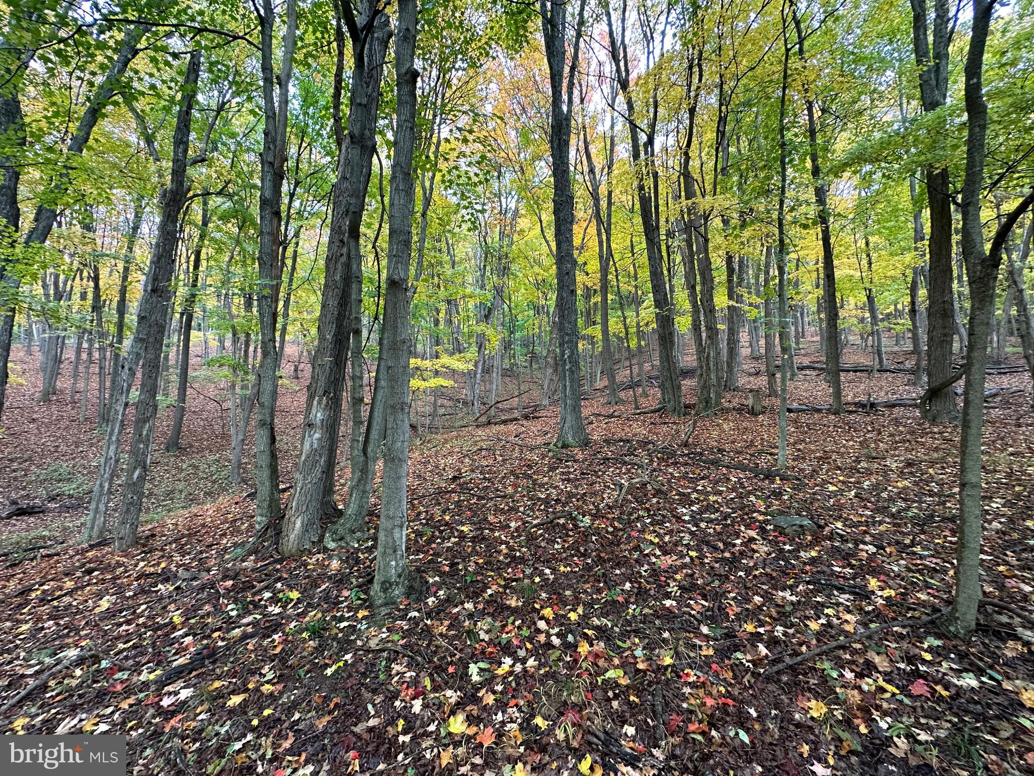 BLACK BEAR RECREATION AREA - Land