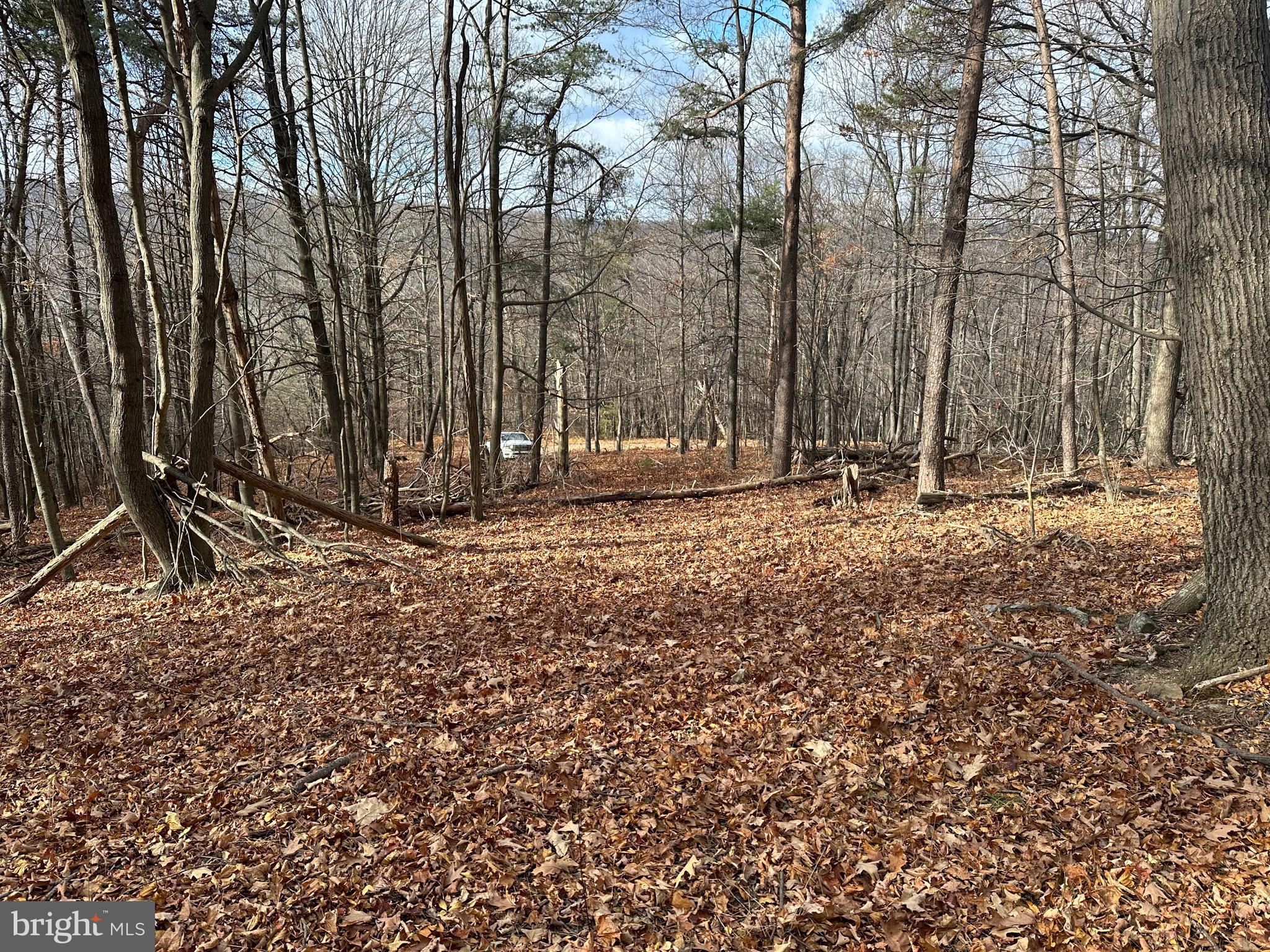 BLACK BEAR RECREATION AREA - Land