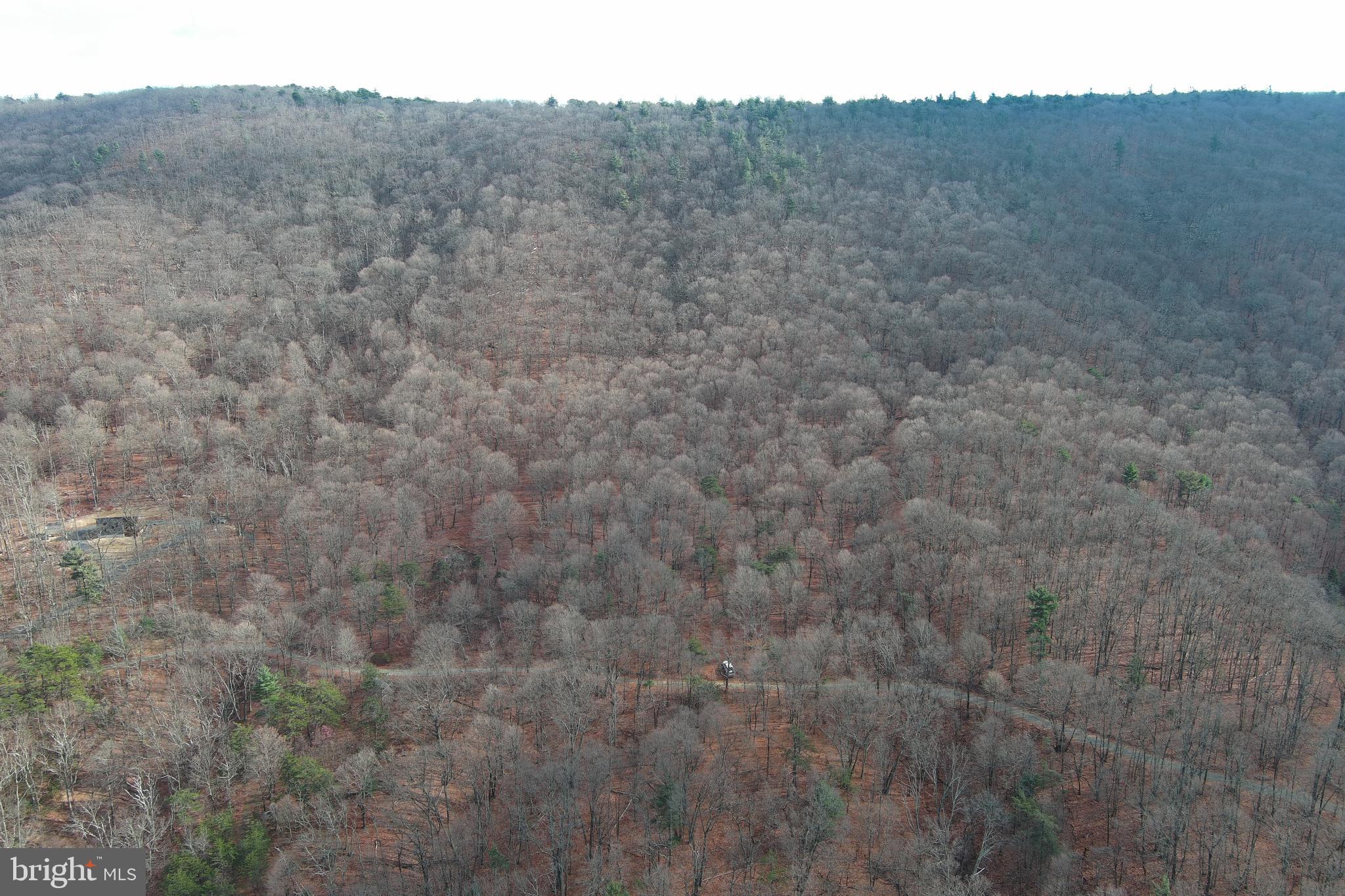 BLACK BEAR RECREATION AREA - Land