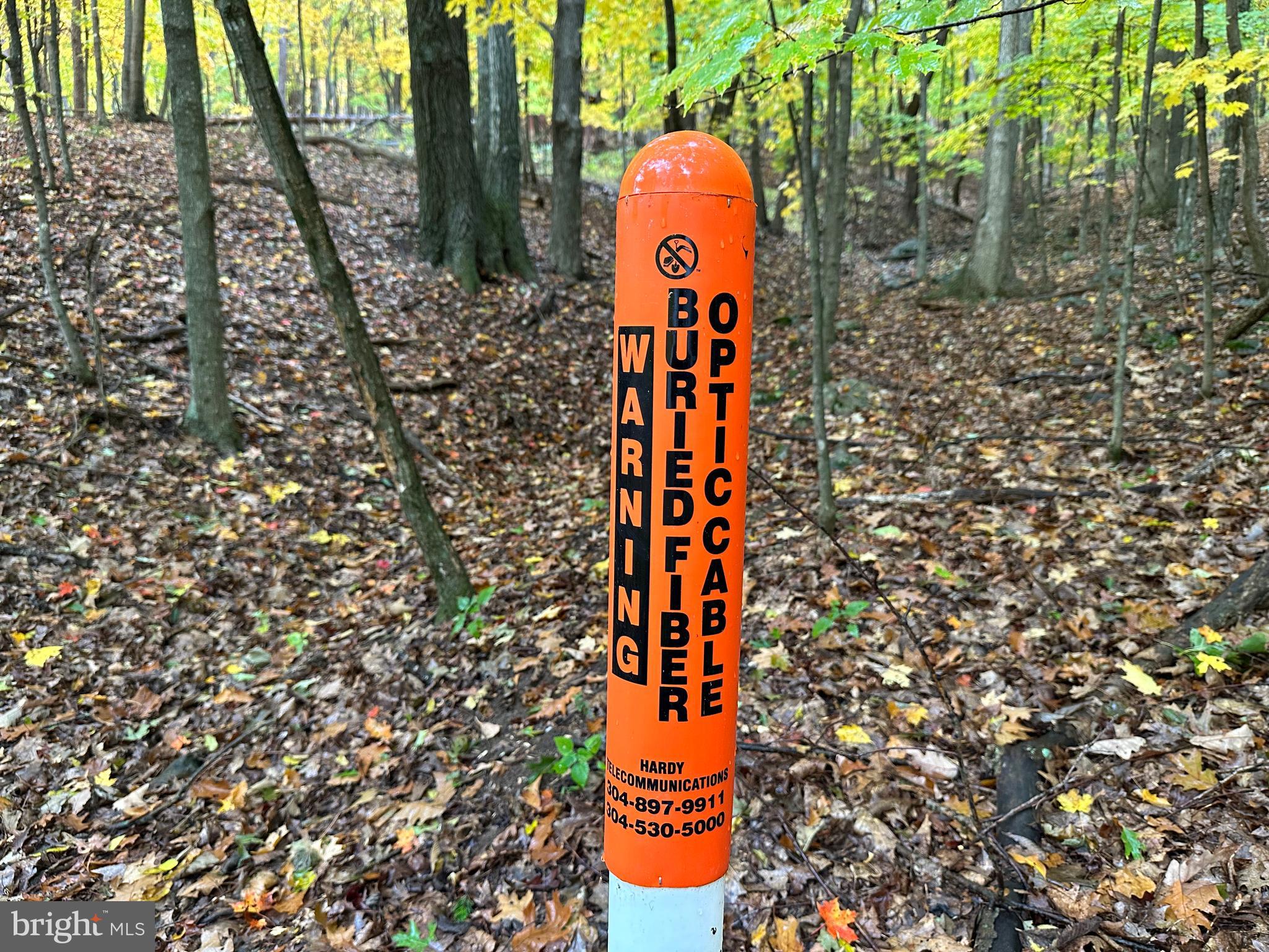 BLACK BEAR RECREATION AREA - Land