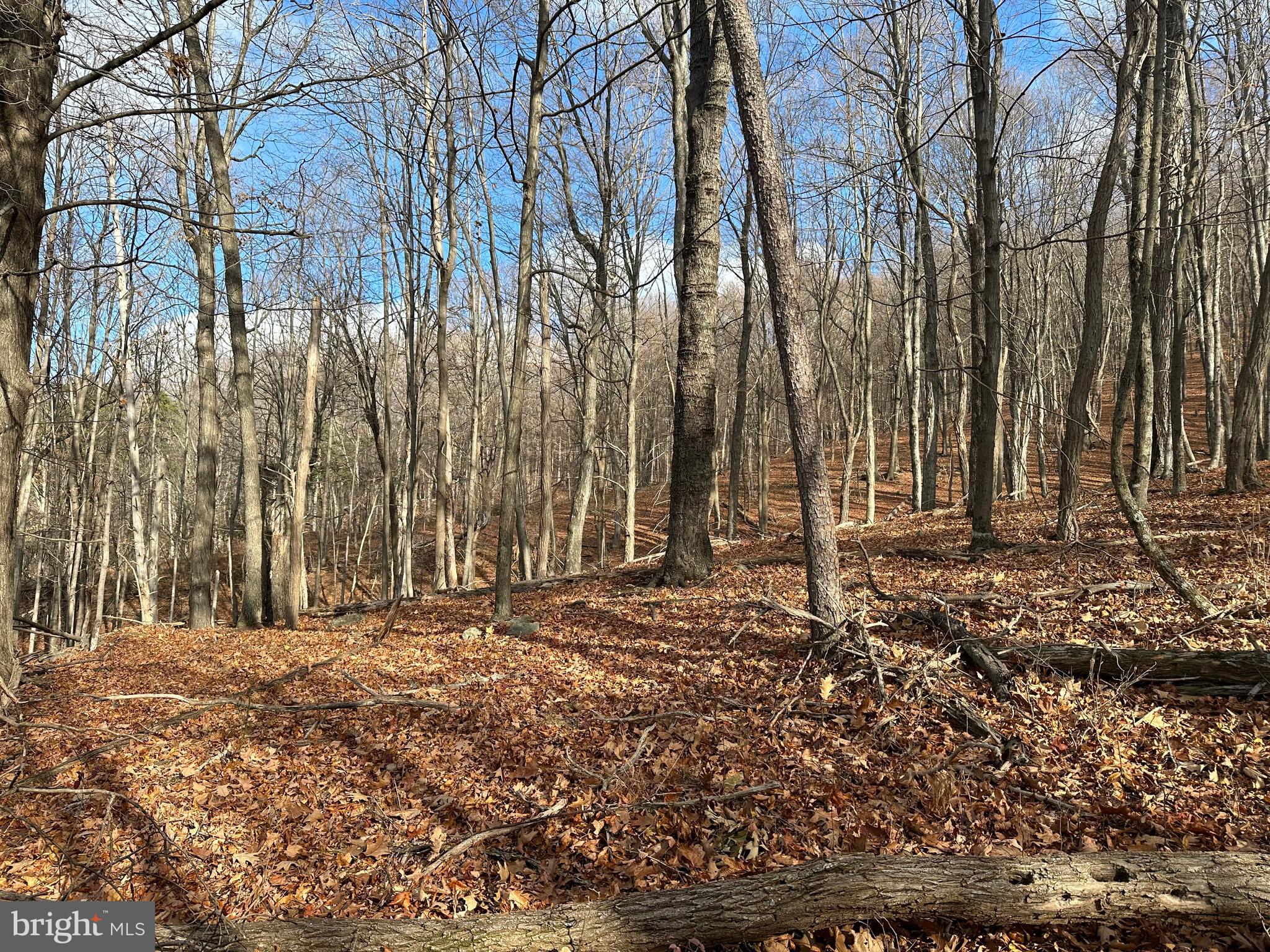 BLACK BEAR RECREATION AREA - Land