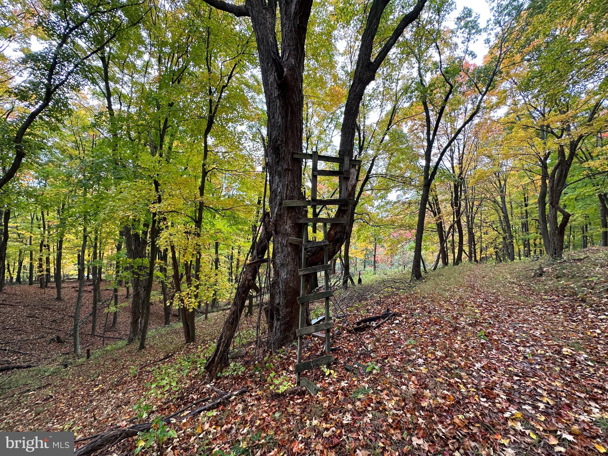 BLACK BEAR RECREATION AREA - Land