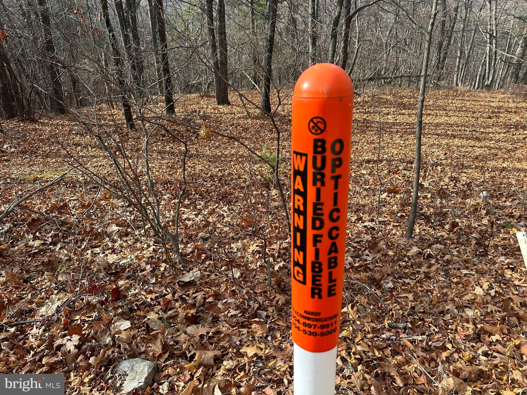 BLACK BEAR RECREATION AREA - Land