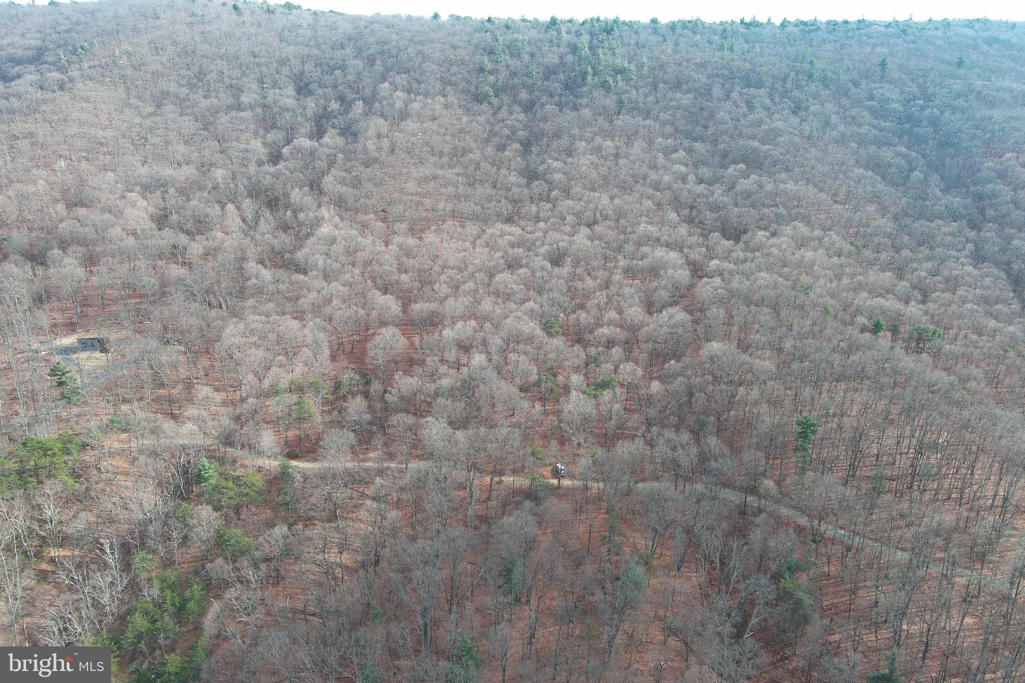 BLACK BEAR RECREATION AREA - Land