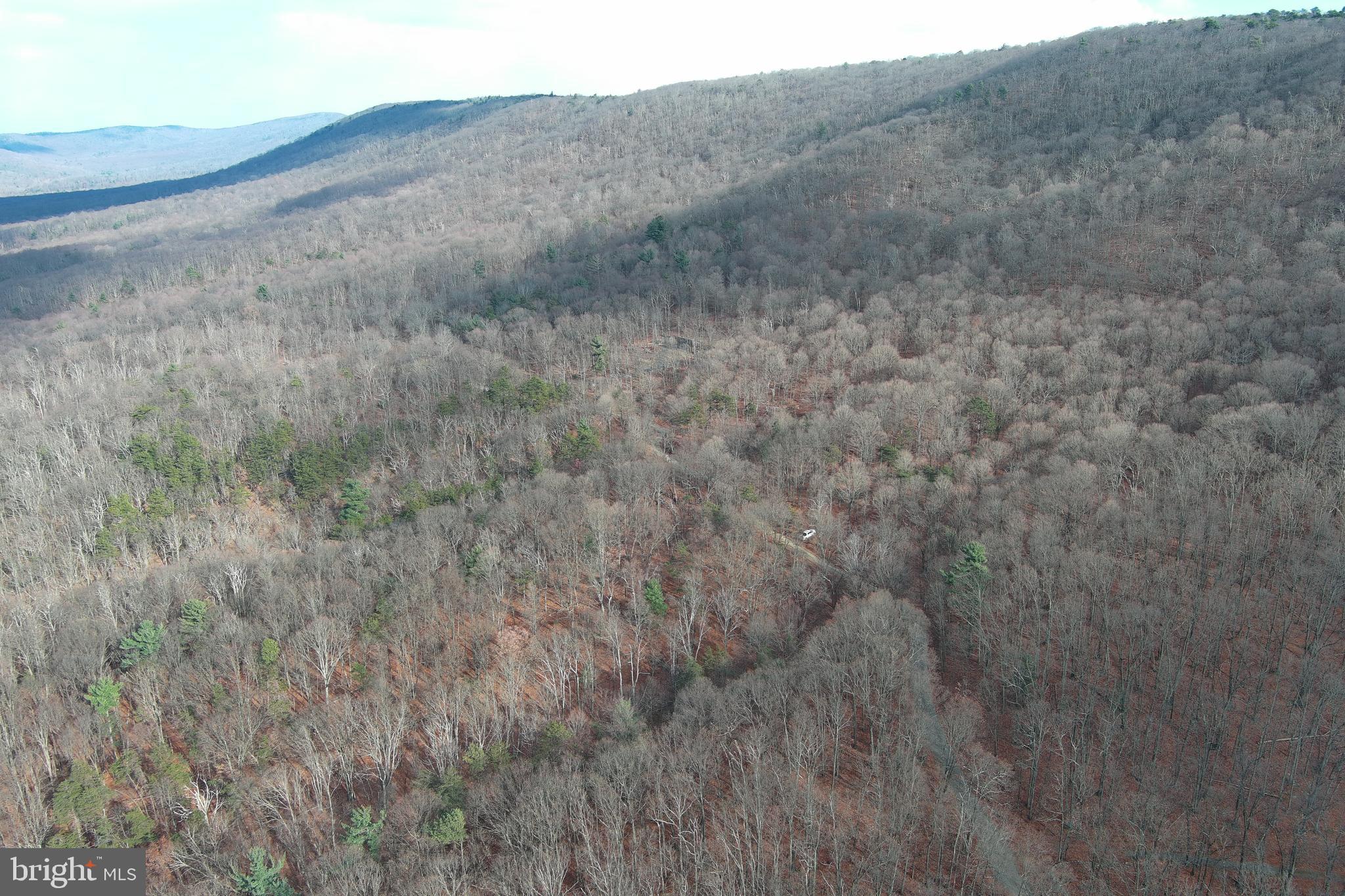 BLACK BEAR RECREATION AREA - Land