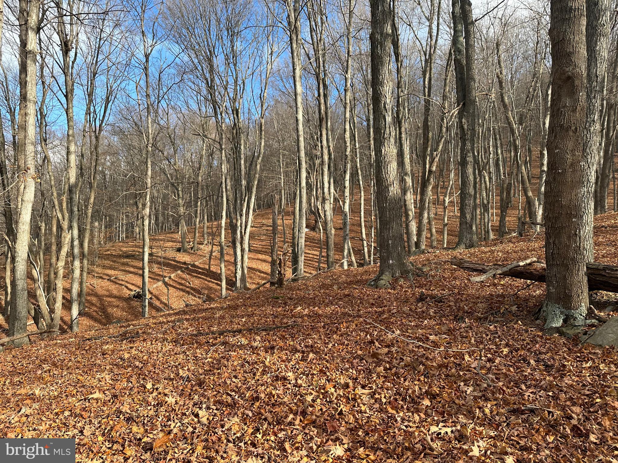 BLACK BEAR RECREATION AREA - Land