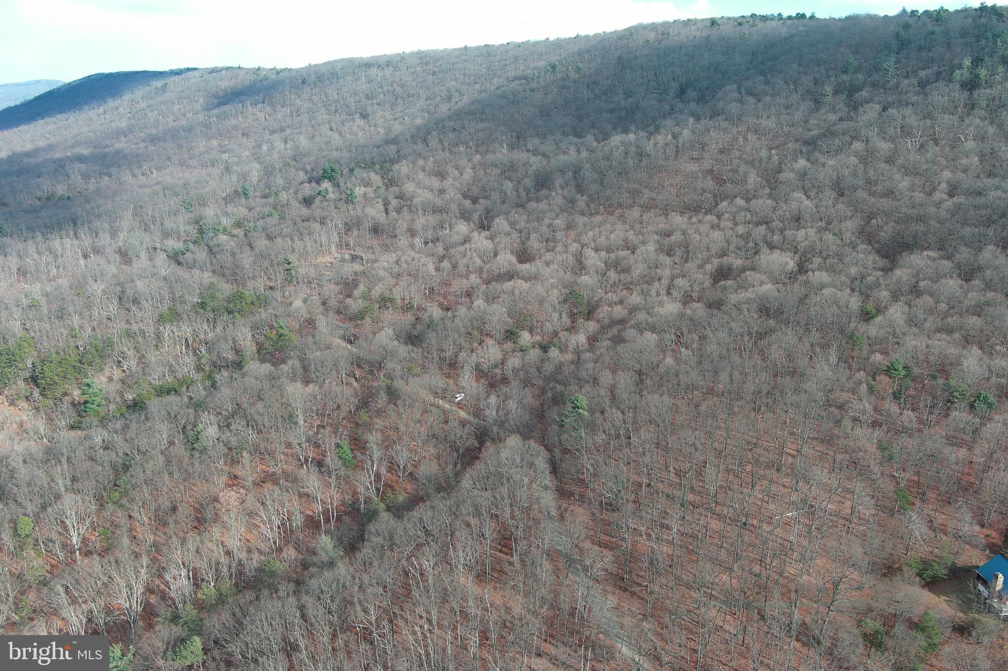 BLACK BEAR RECREATION AREA - Land