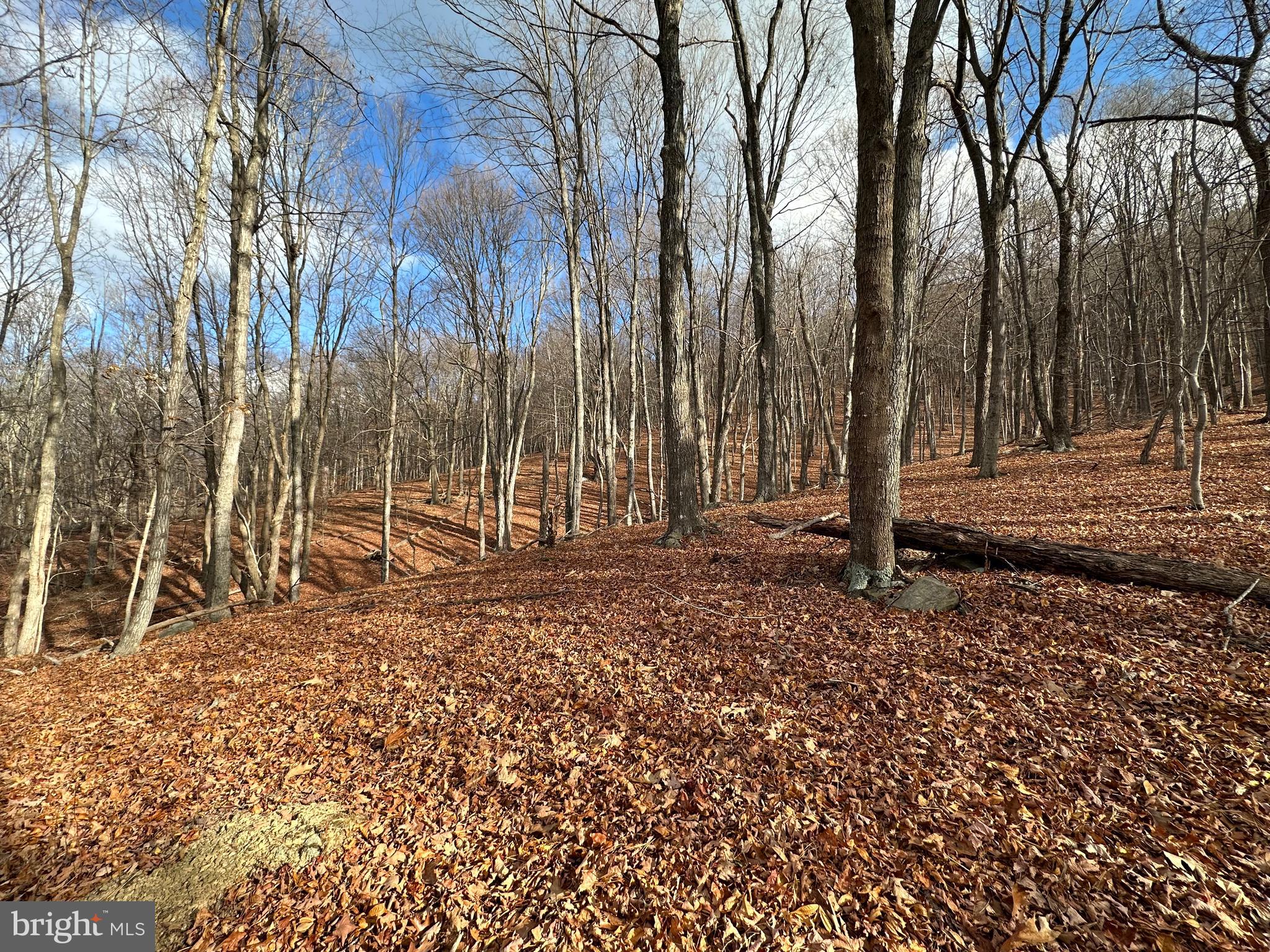 BLACK BEAR RECREATION AREA - Land