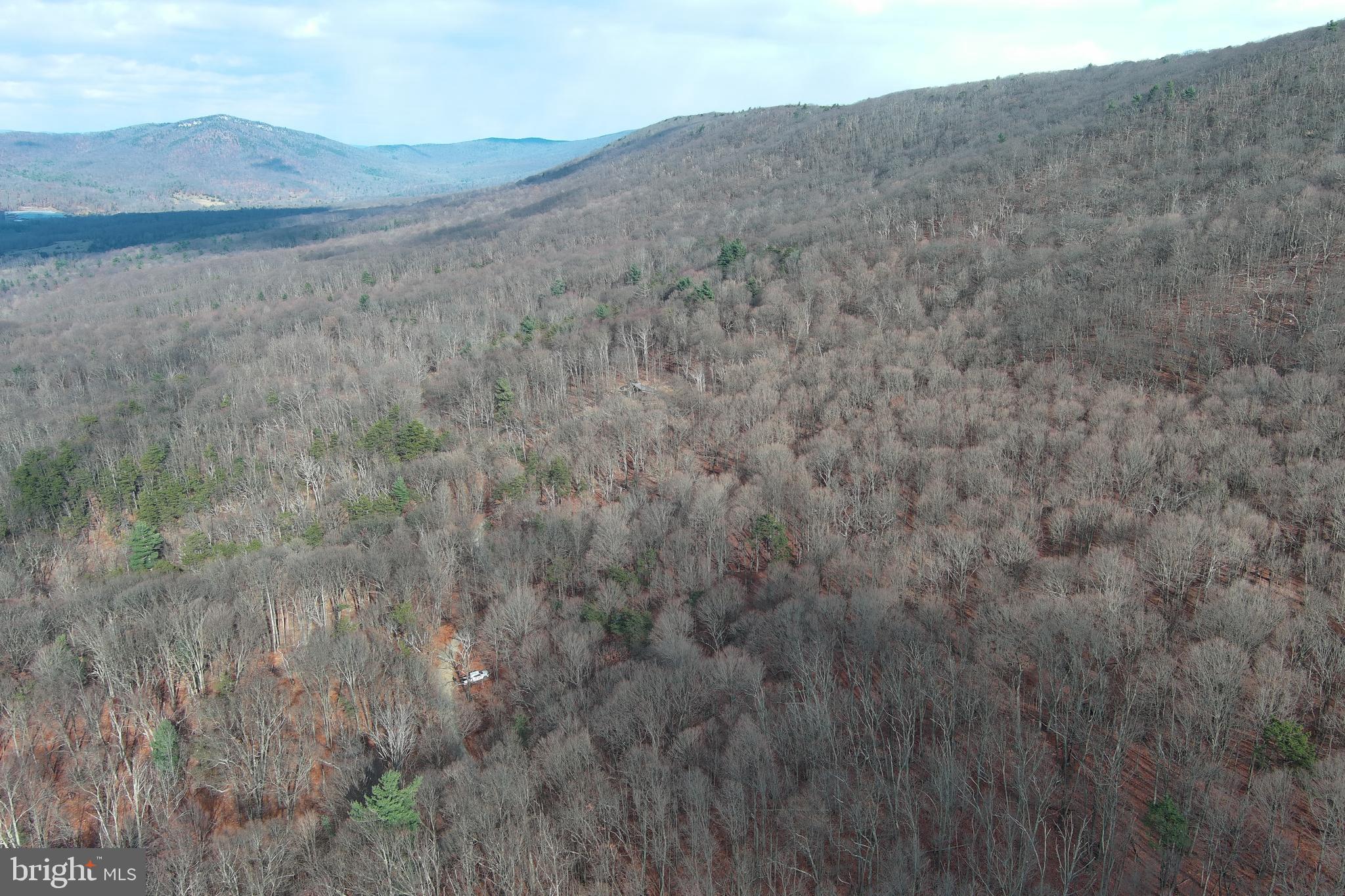 BLACK BEAR RECREATION AREA - Land