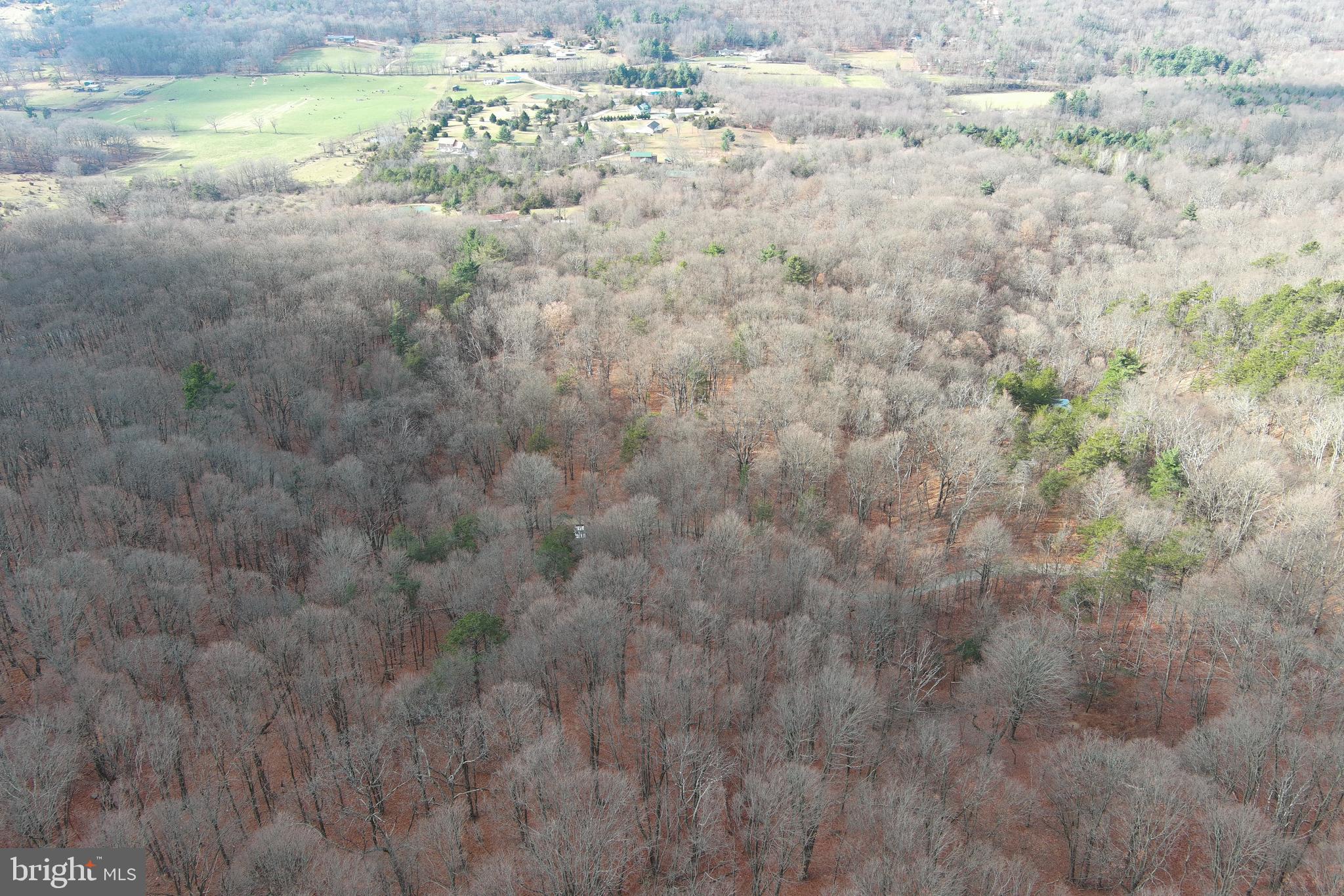 BLACK BEAR RECREATION AREA - Land