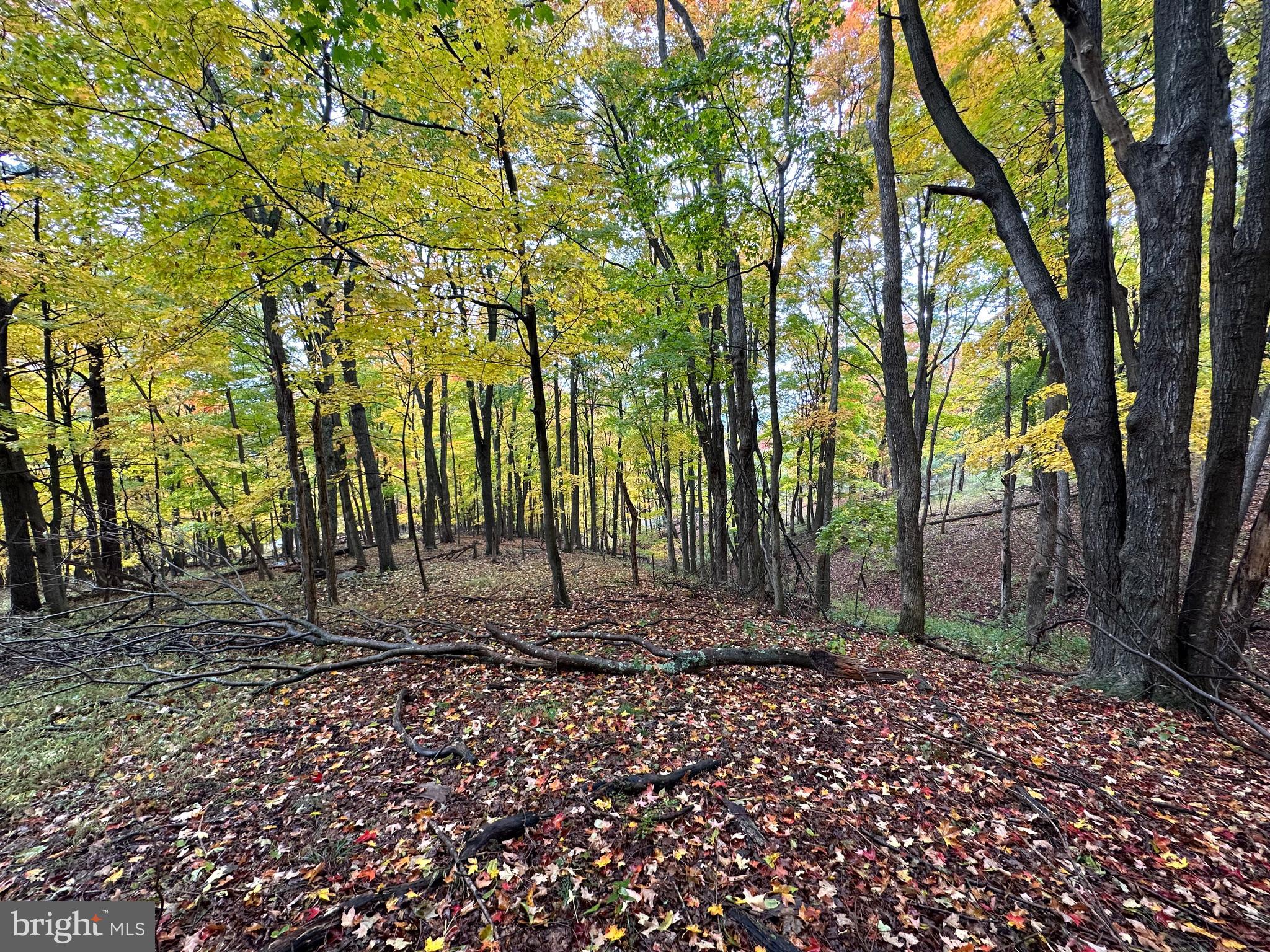 BLACK BEAR RECREATION AREA - Land