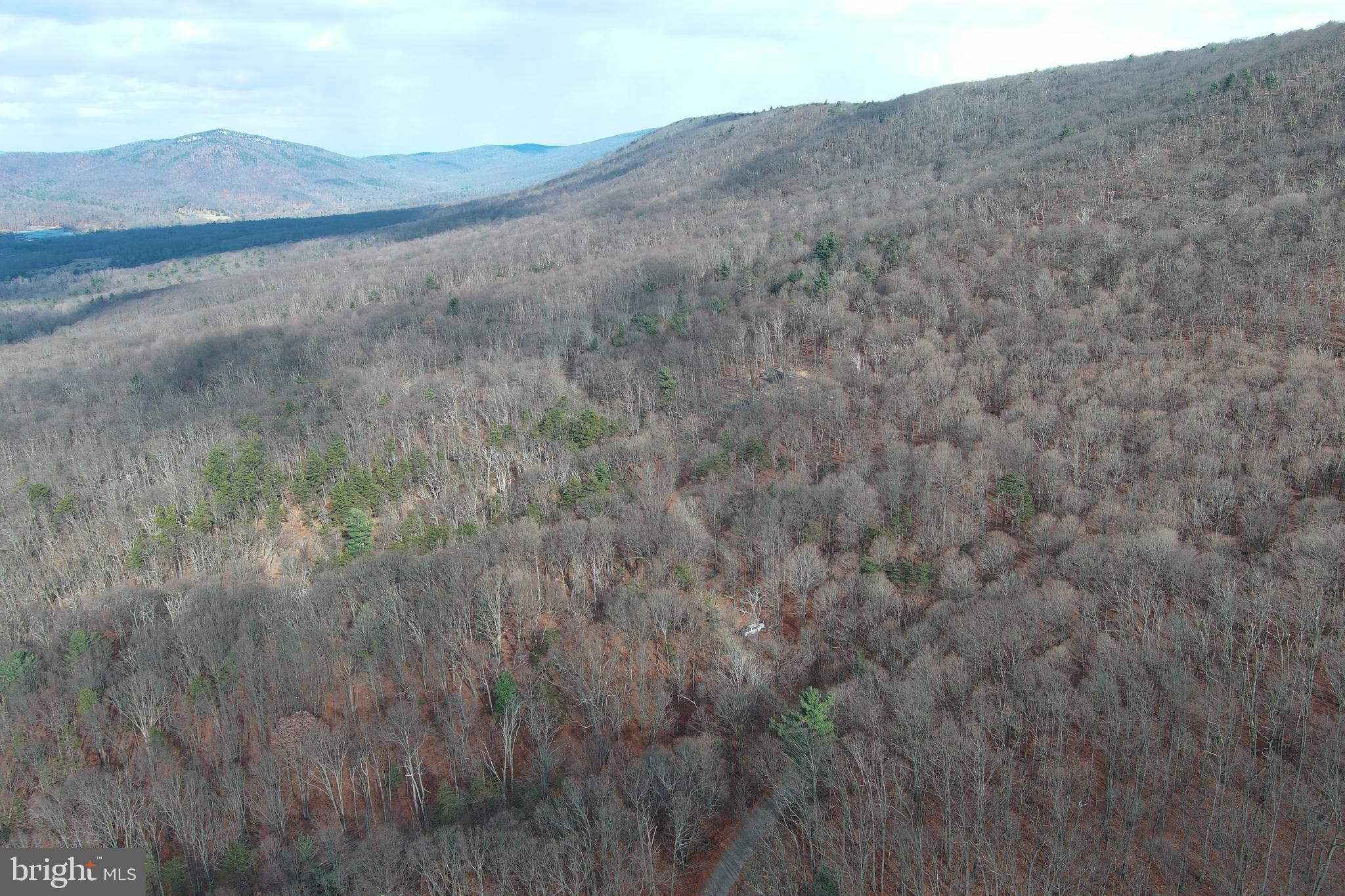BLACK BEAR RECREATION AREA - Land
